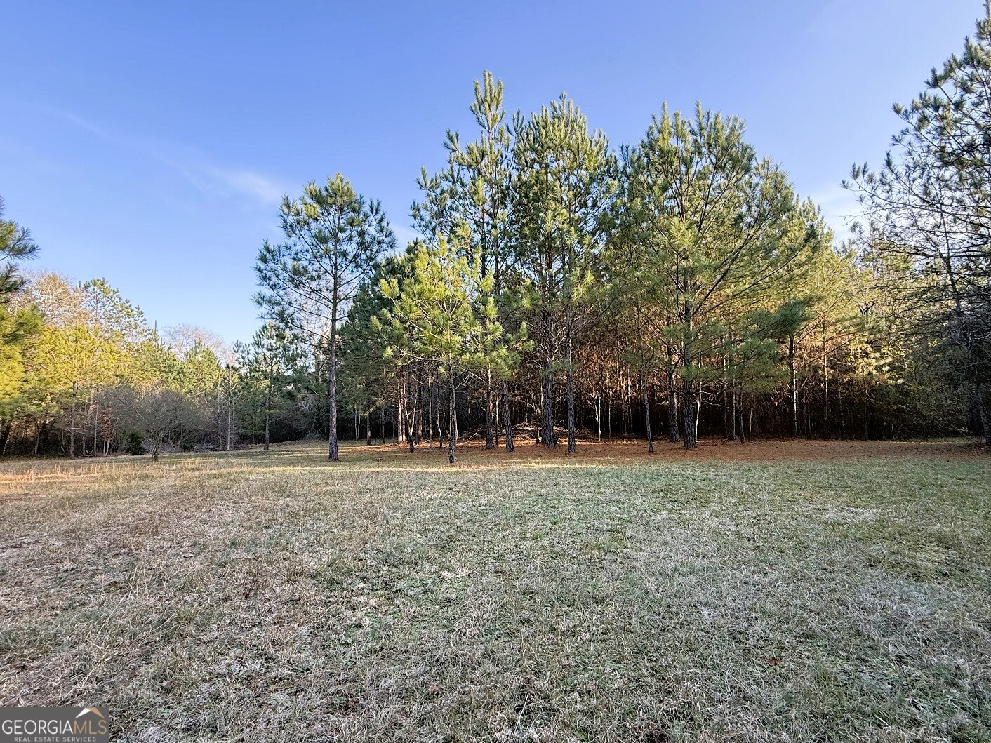 0 Stinchcomb Road Property Photo 2