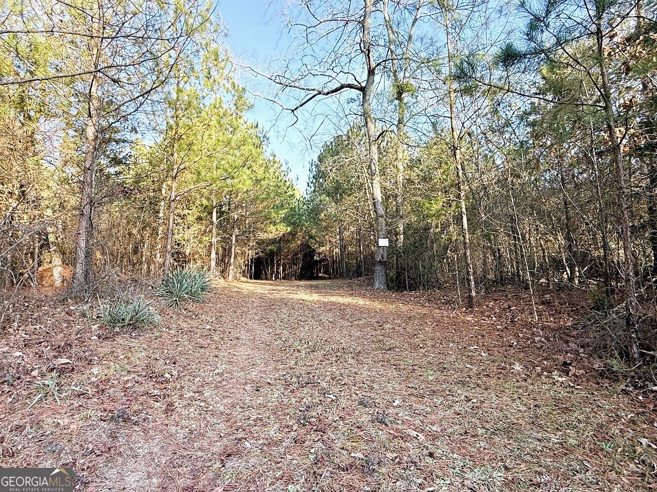 0 Stinchcomb Road Property Photo 3