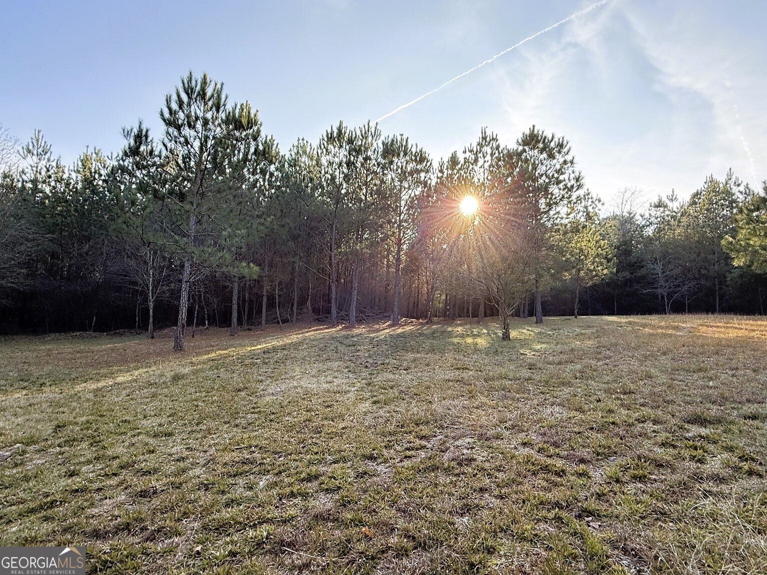0 Stinchcomb Road Property Photo 4