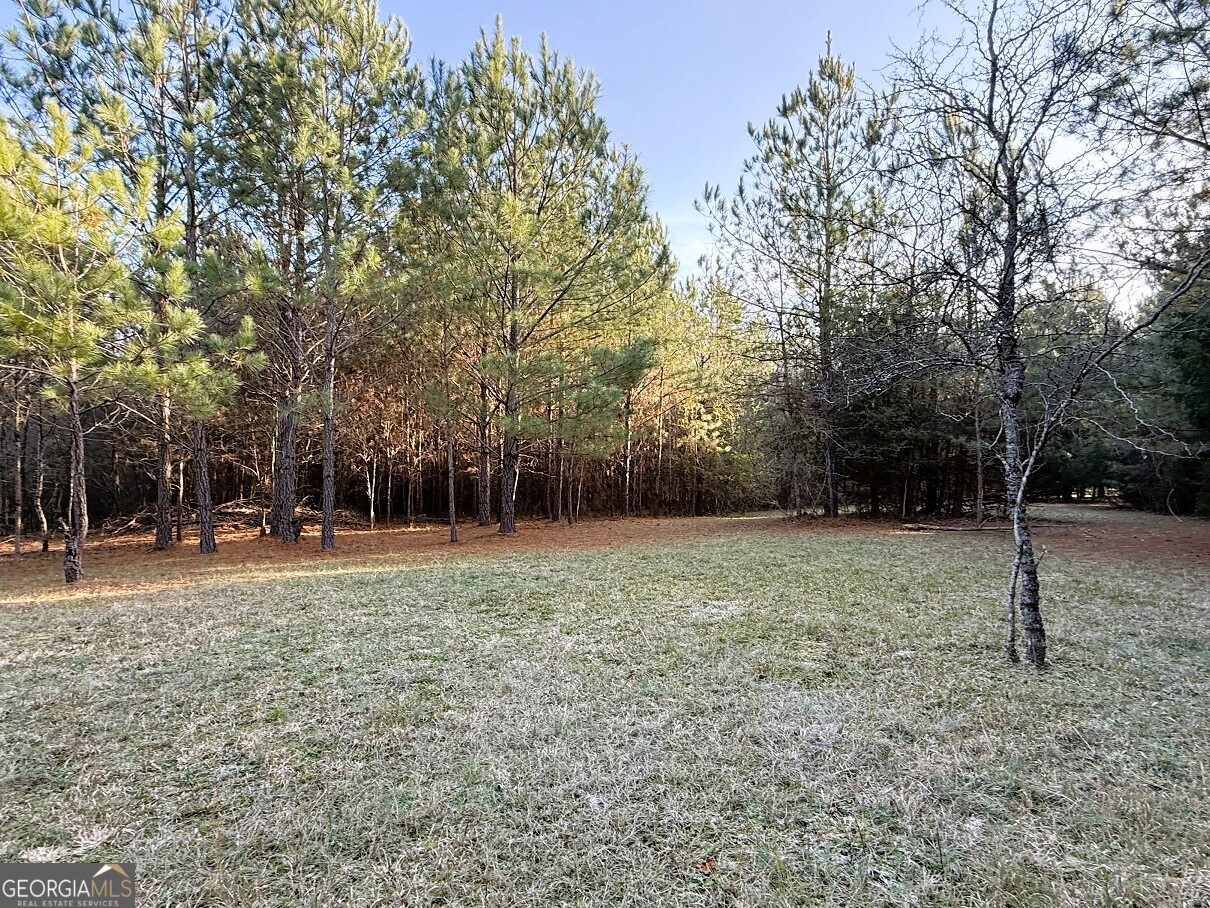 0 Stinchcomb Road Property Photo 6