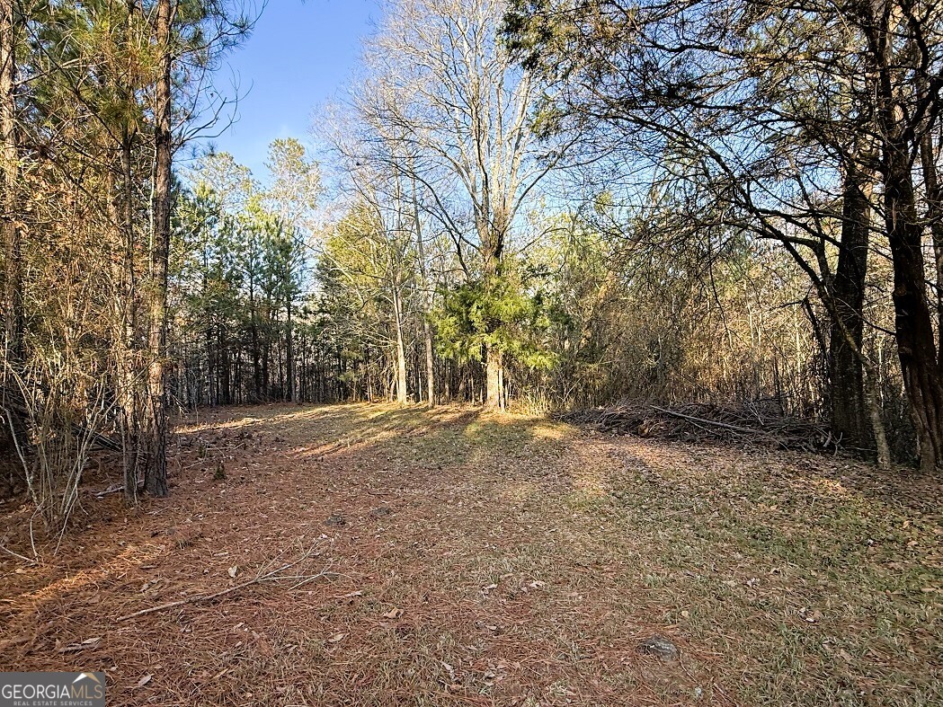 0 Stinchcomb Road Property Photo 7