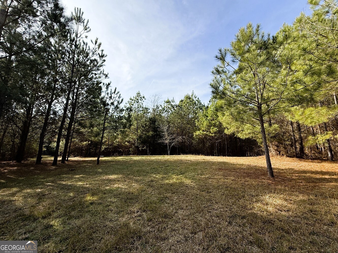 0 Stinchcomb Road Property Photo 8