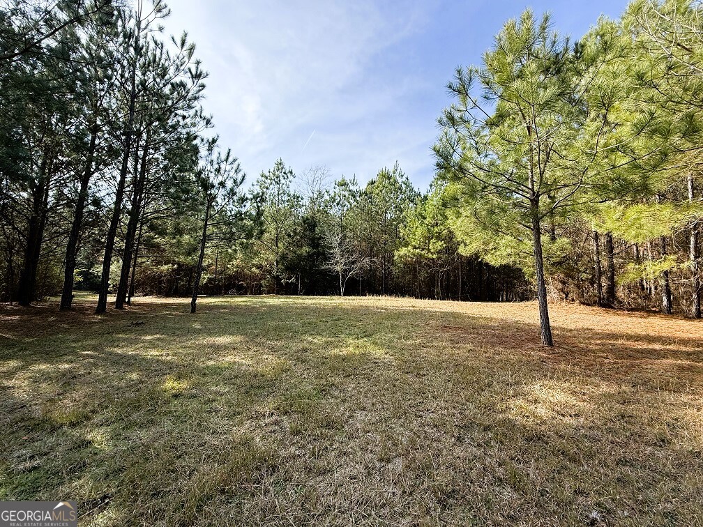 0 Stinchcomb Road Property Photo 9