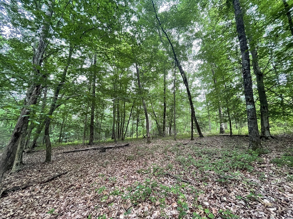 0 Stinchcomb Road Property Photo 15