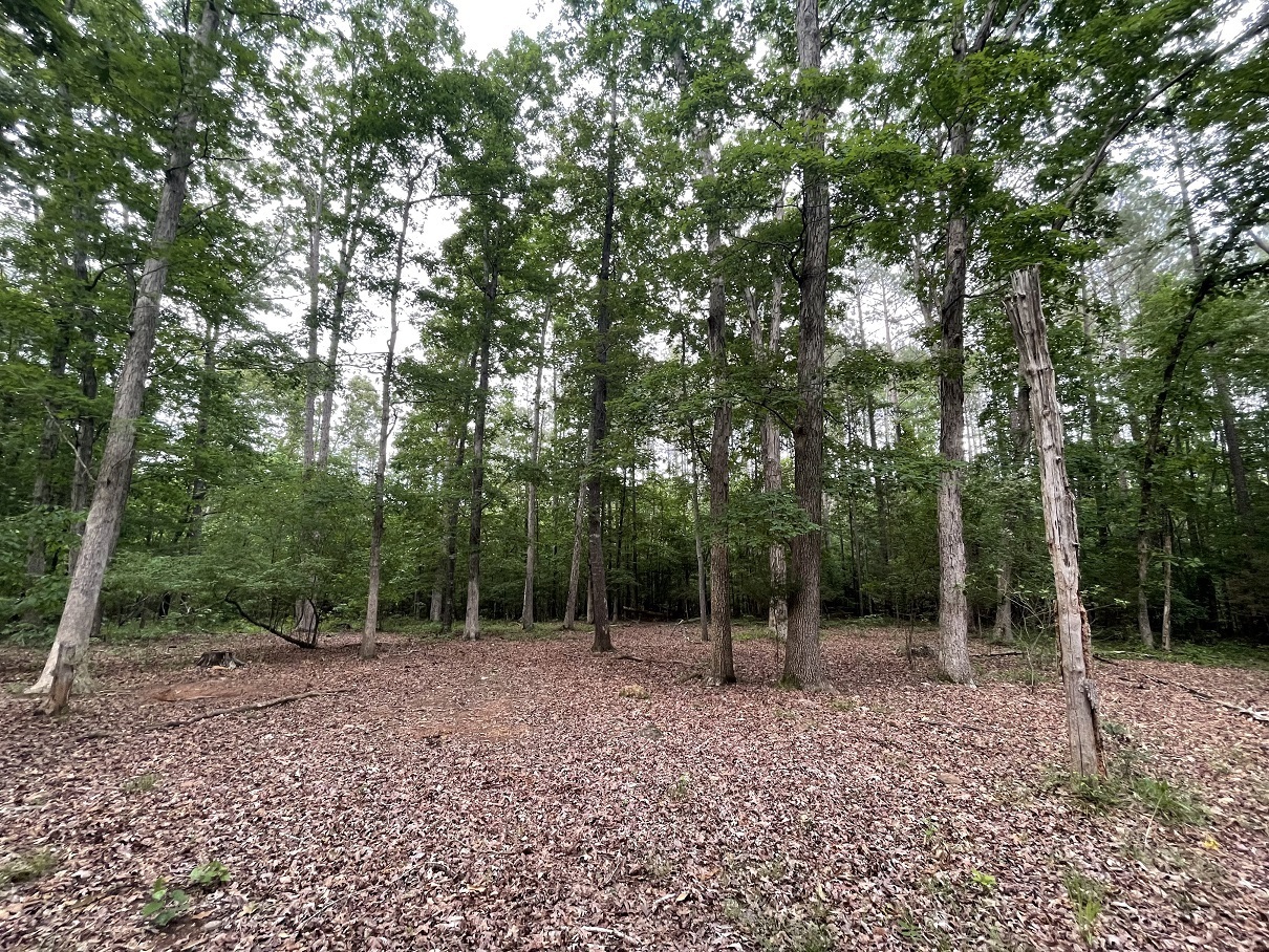 0 Stinchcomb Road Property Photo 16