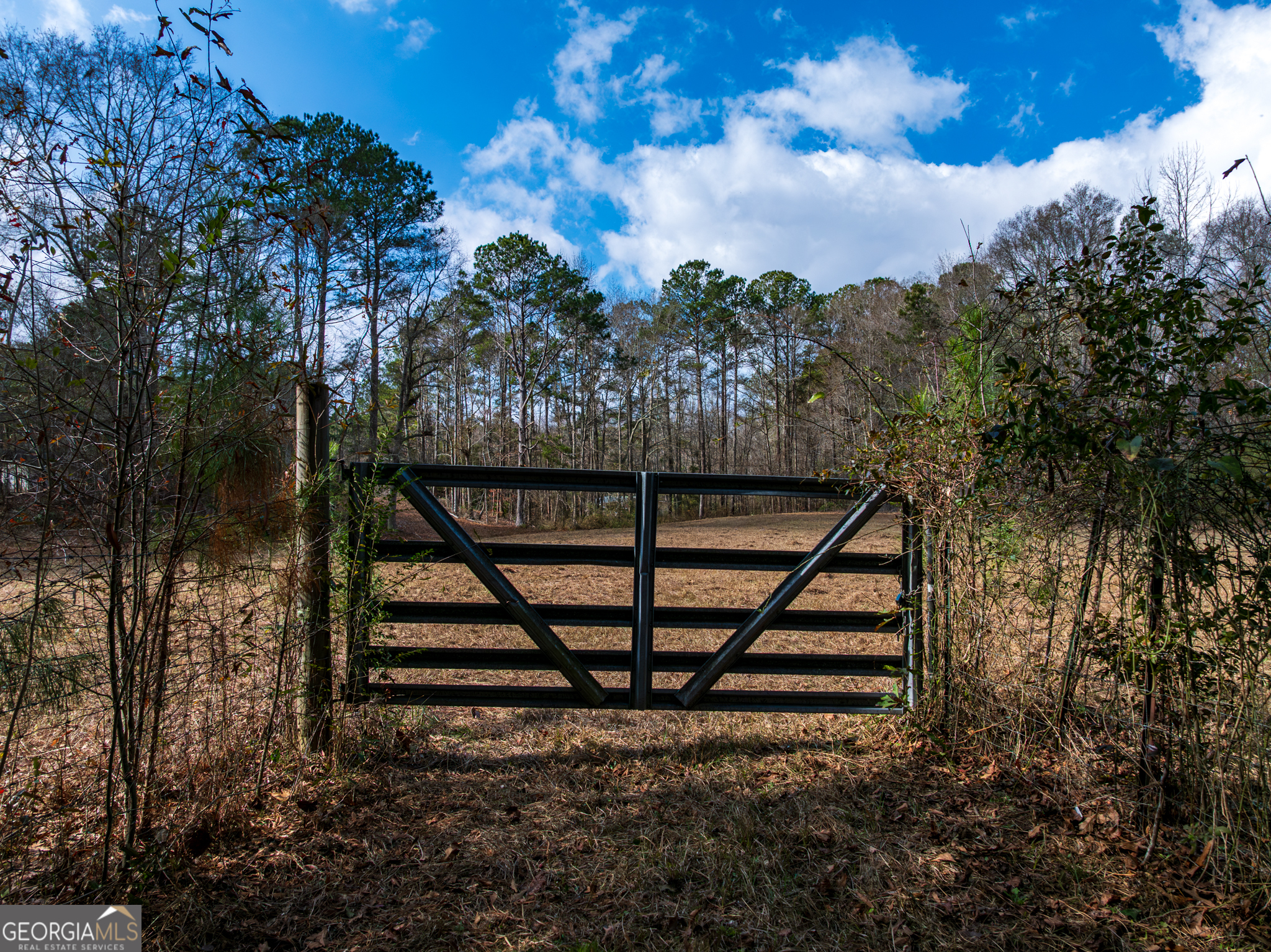 2.83 Acres Williams Road Property Photo 1