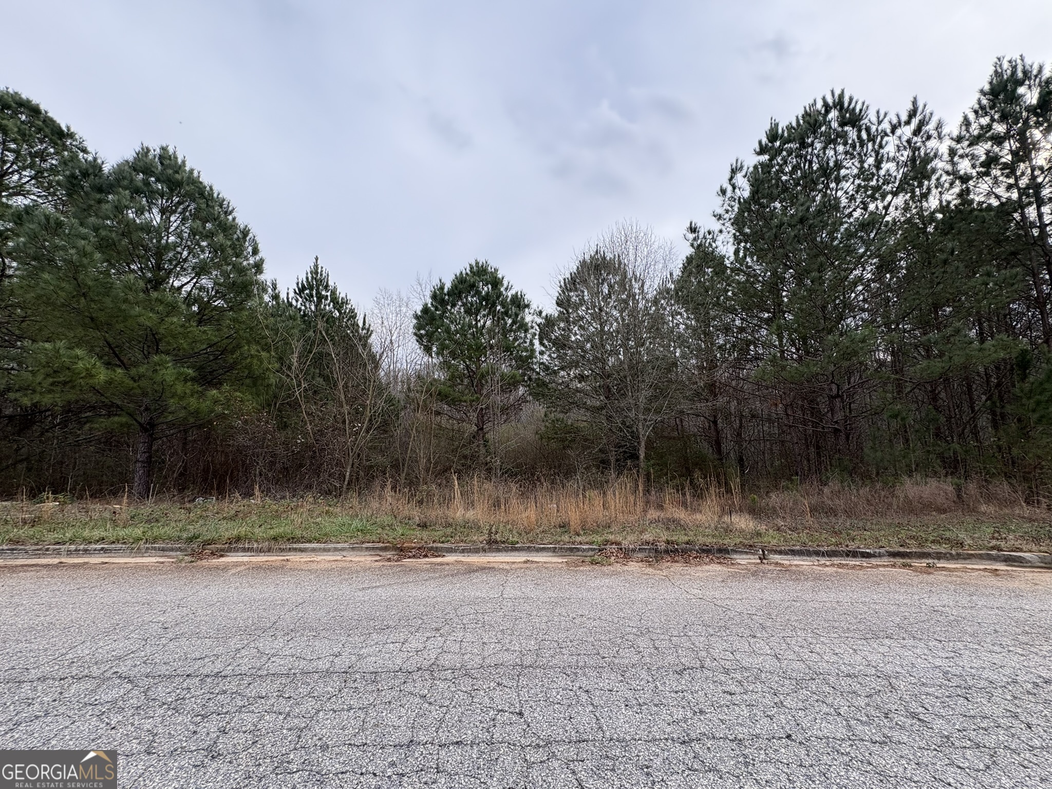 125 Cardell Farms Road # 57 Property Photo 1