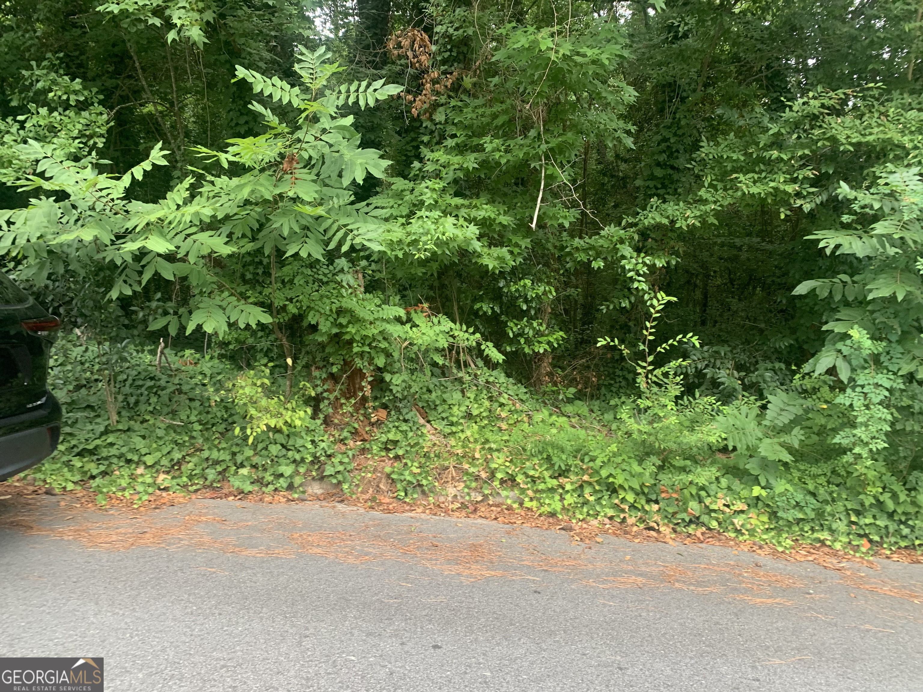 1171 Washington Street Property Photo 4