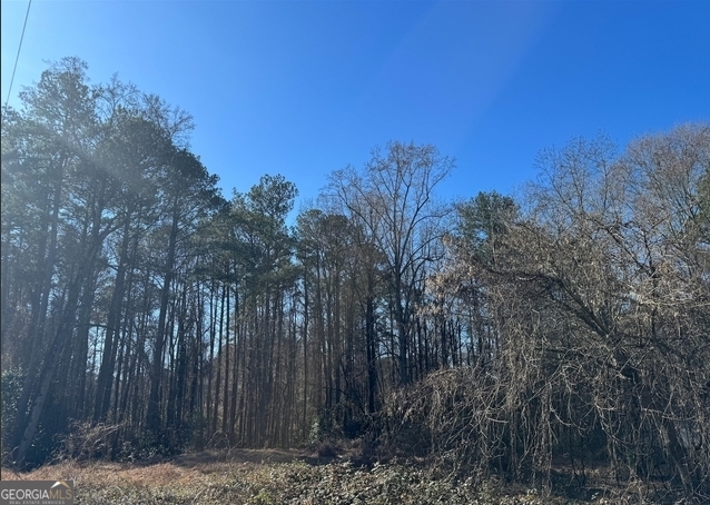 0 Jonesboro Road Property Photo 1