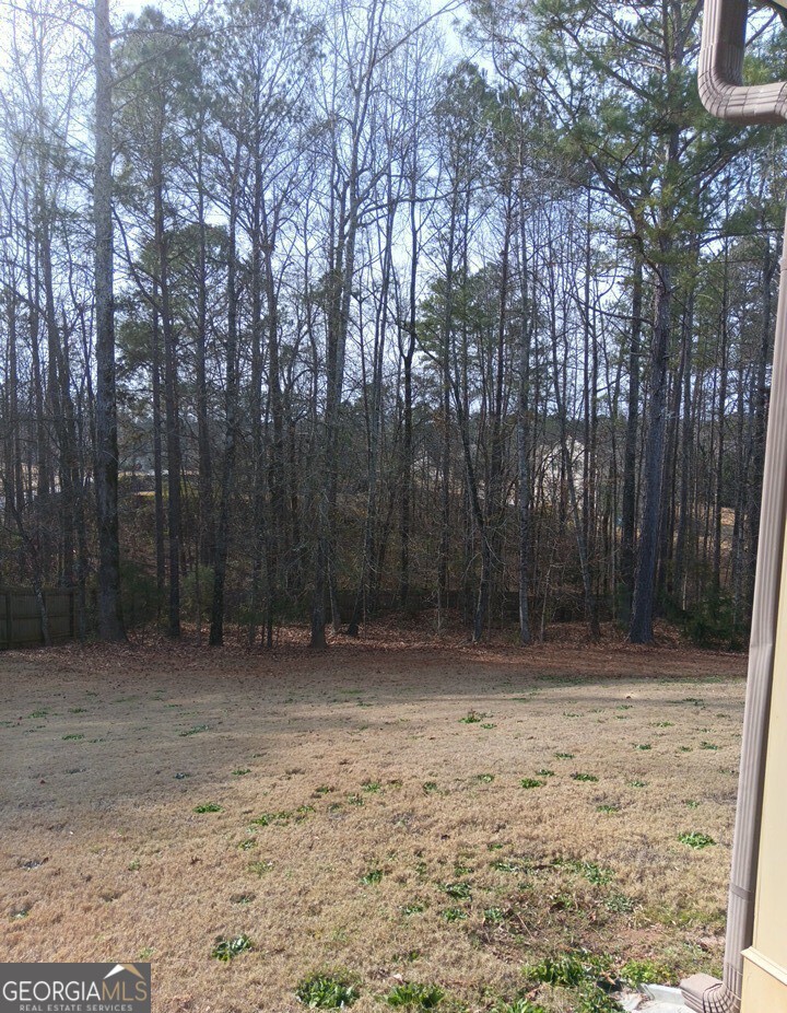 307 Cinnamon Bark Pass Property Photo 5