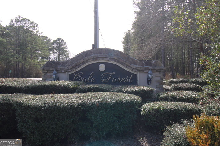 206 Cole Forest Boulevard Property Photo 34