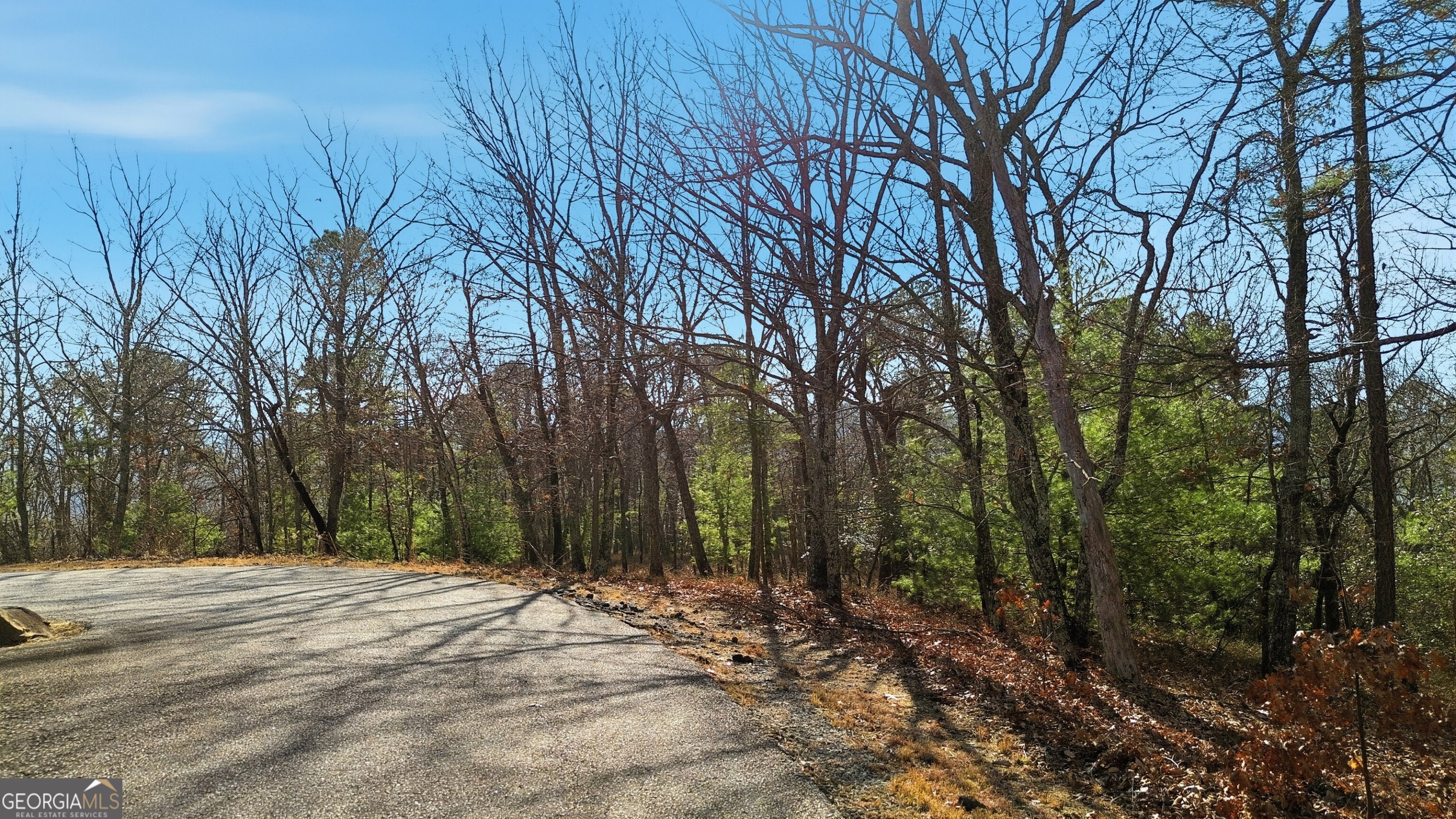 0 Mountain Sweet Drive # 59 Property Photo 6
