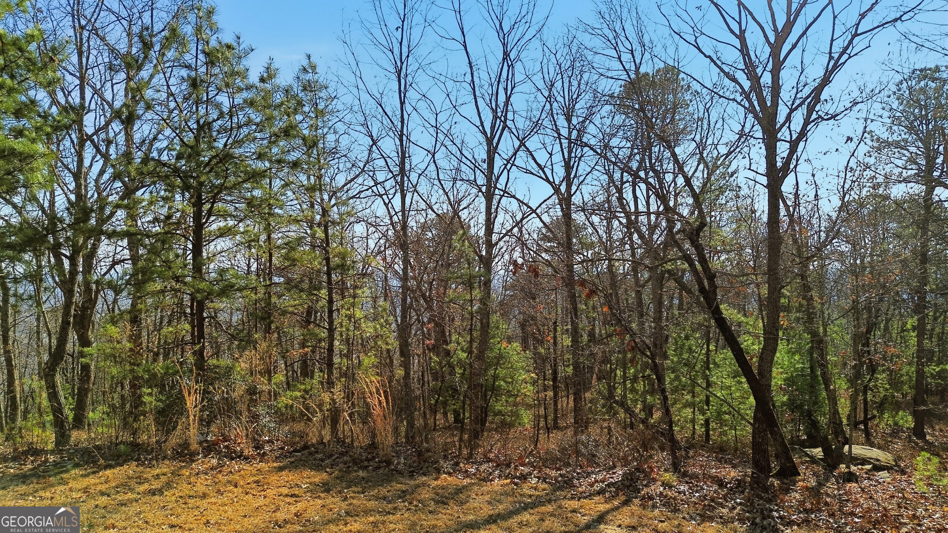 0 Mountain Sweet Drive # 59 Property Photo 7