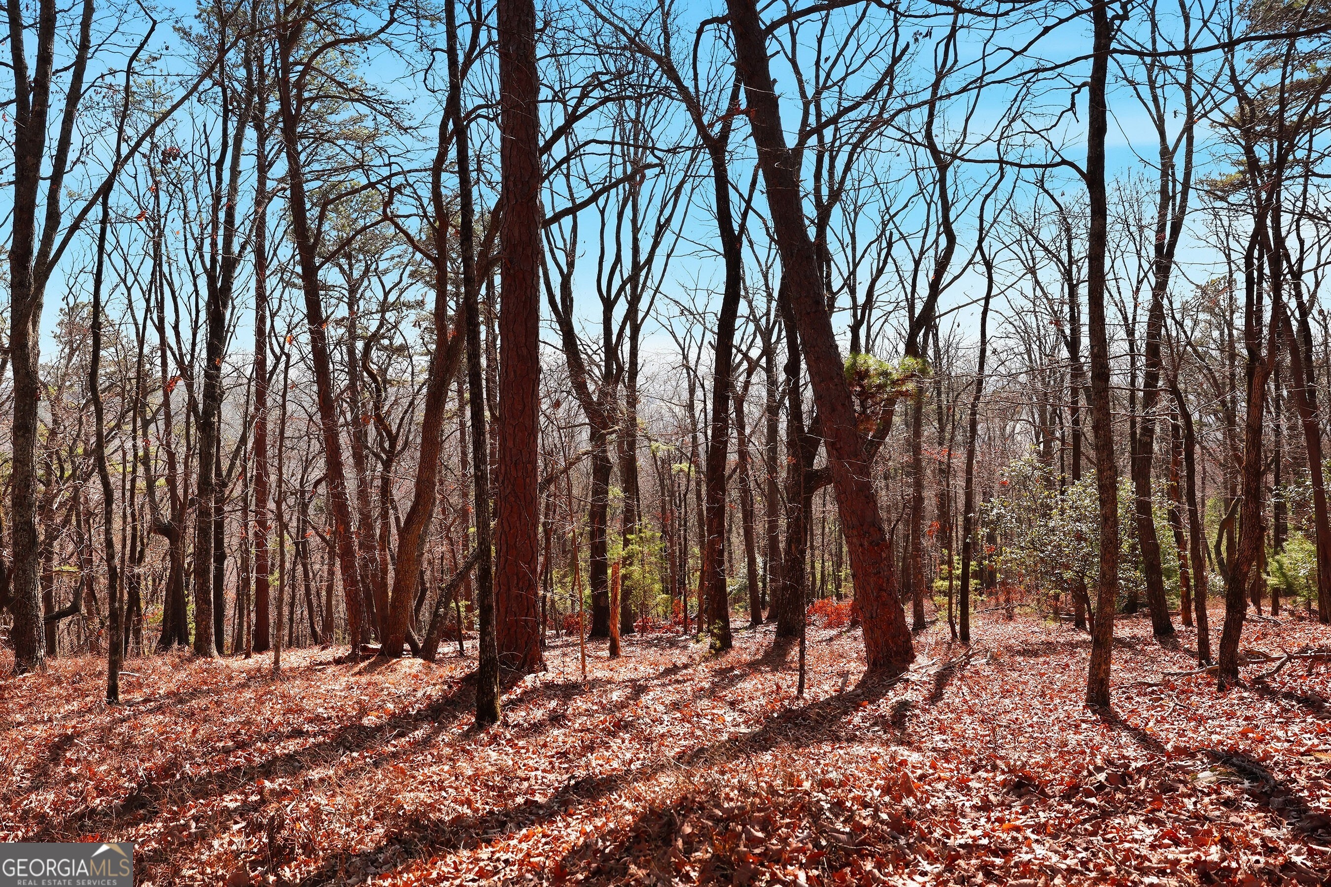 0 Mountain Sweet Drive # 59 Property Photo 10