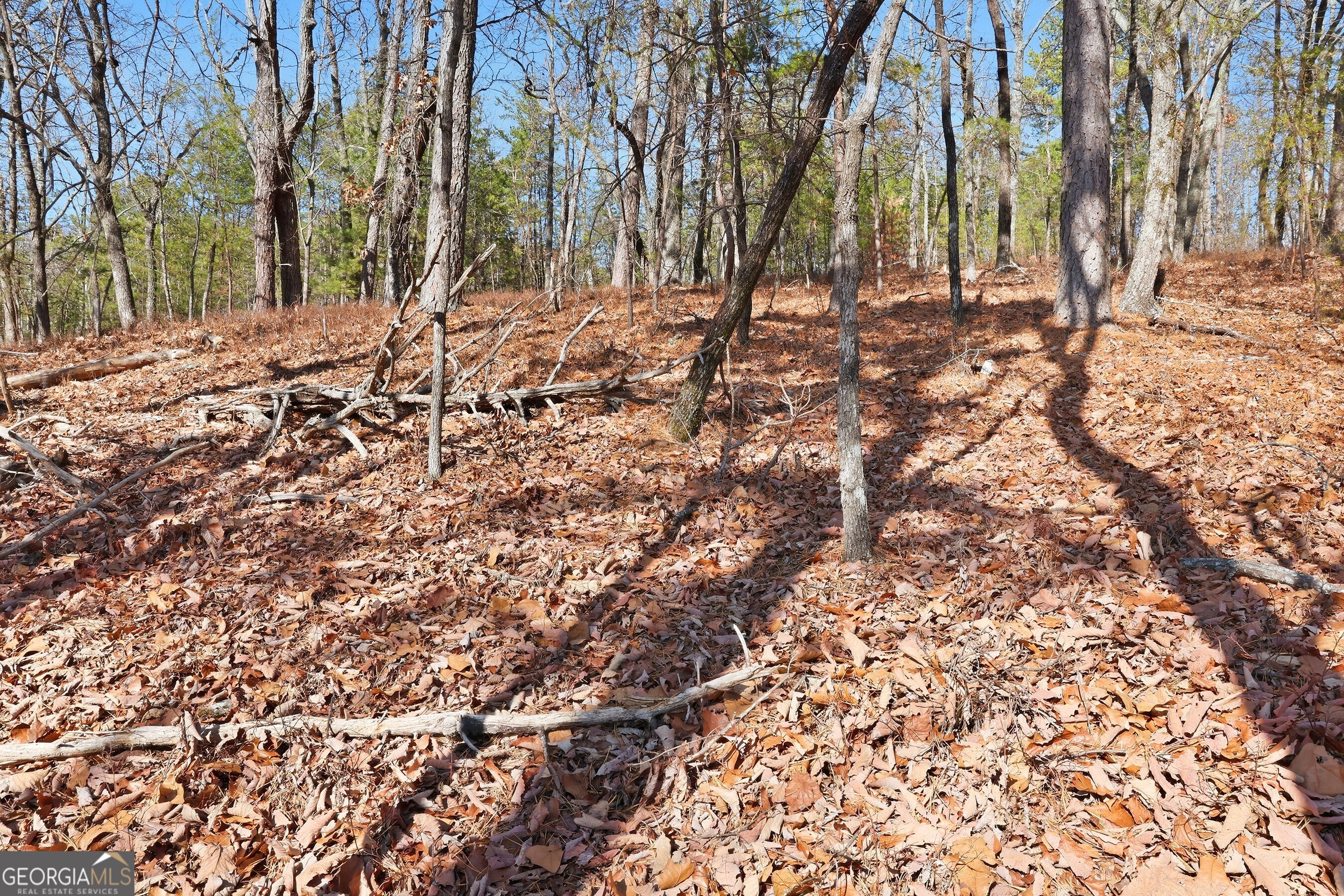 0 Mountain Sweet Drive # 59 Property Photo 11