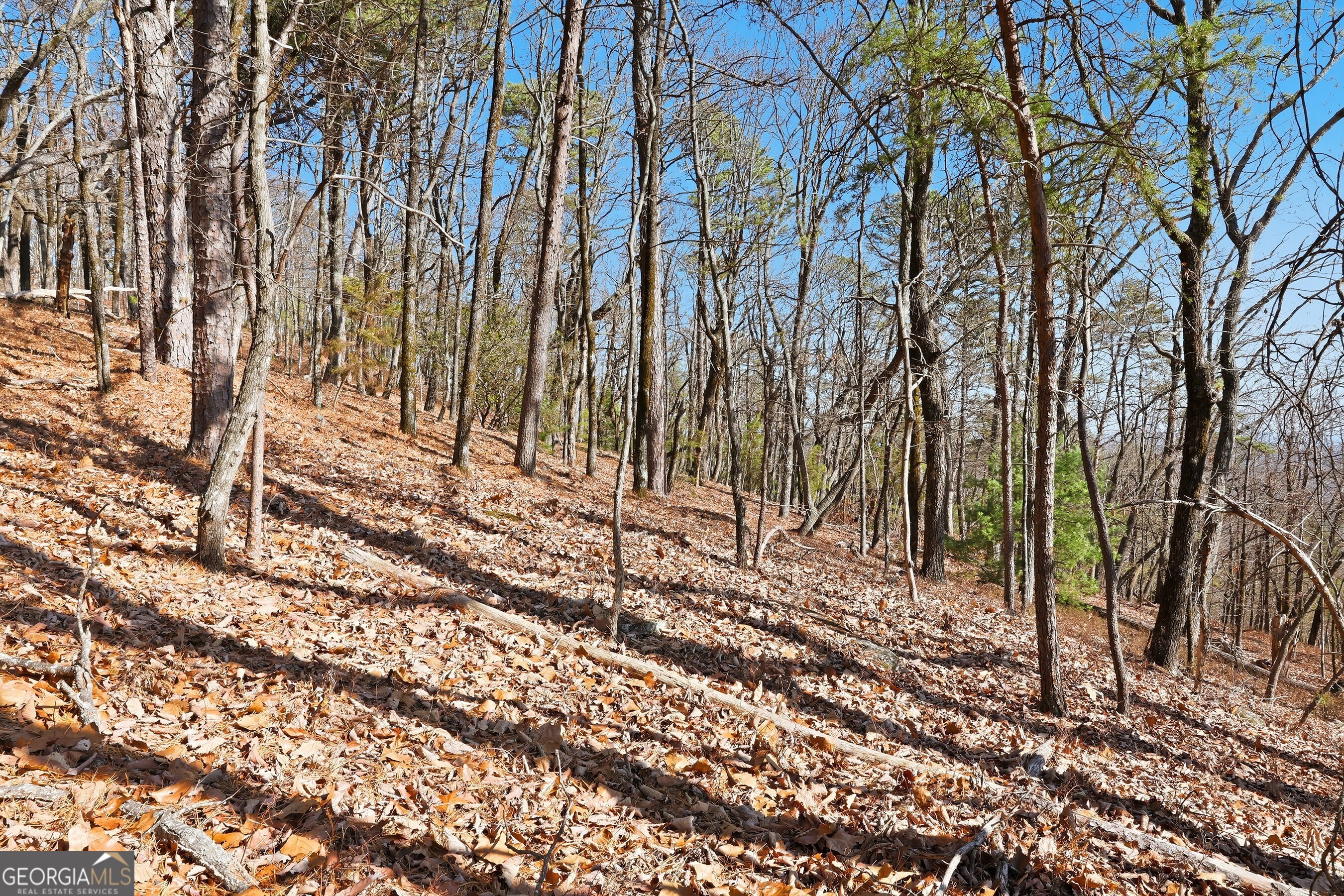 0 Mountain Sweet Drive # 59 Property Photo 12