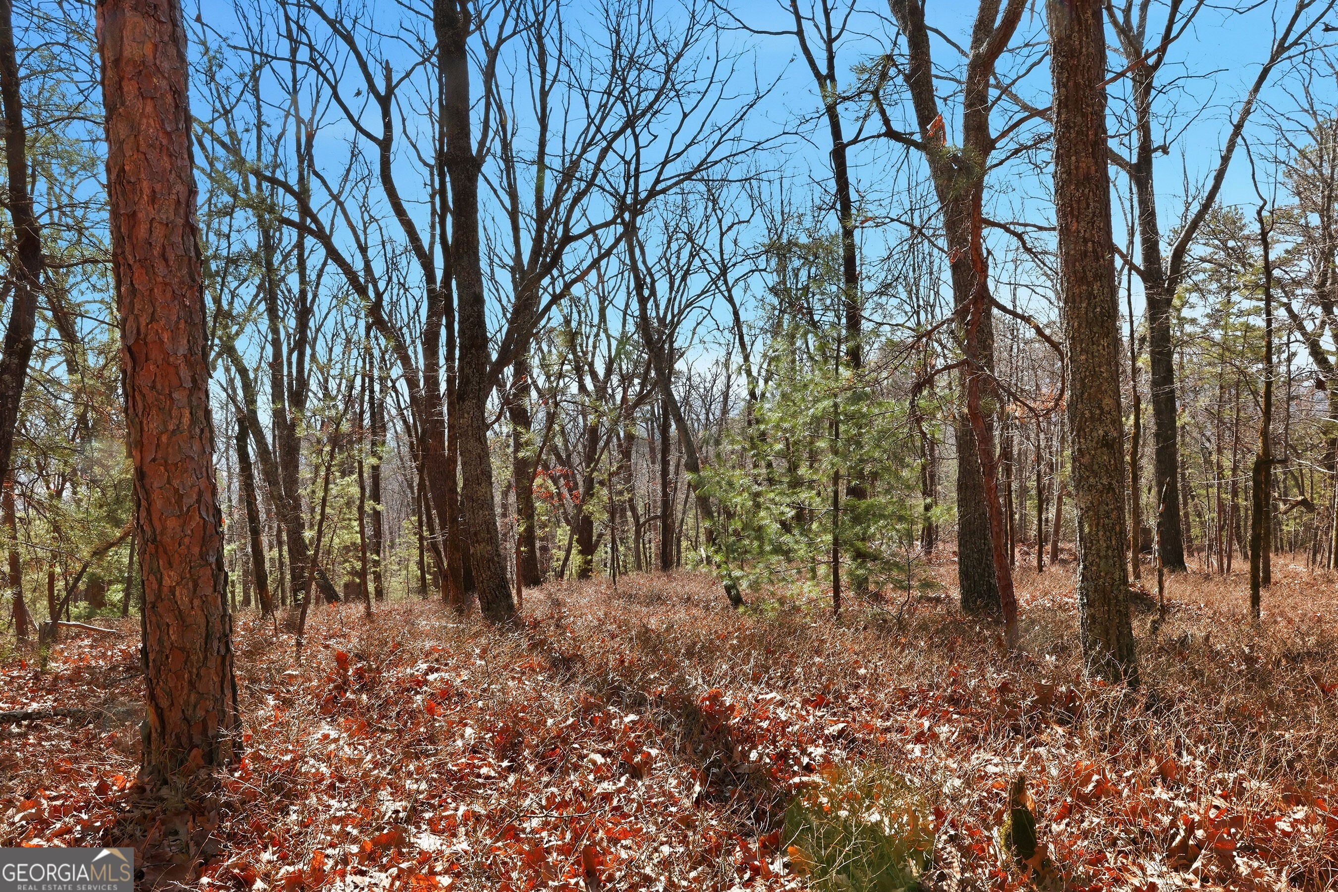 0 Mountain Sweet Drive # 59 Property Photo 14