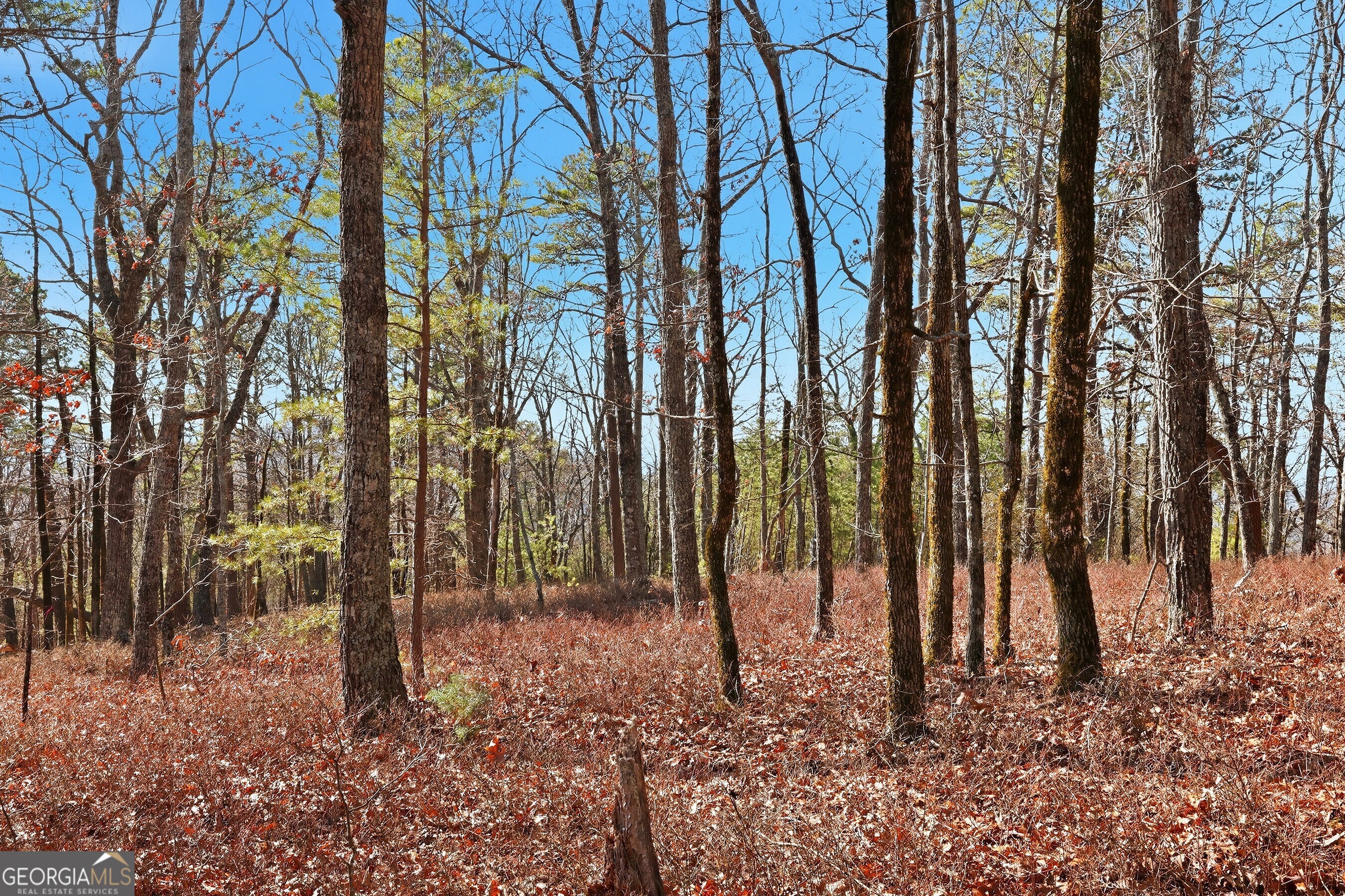 0 Mountain Sweet Drive # 59 Property Photo 15