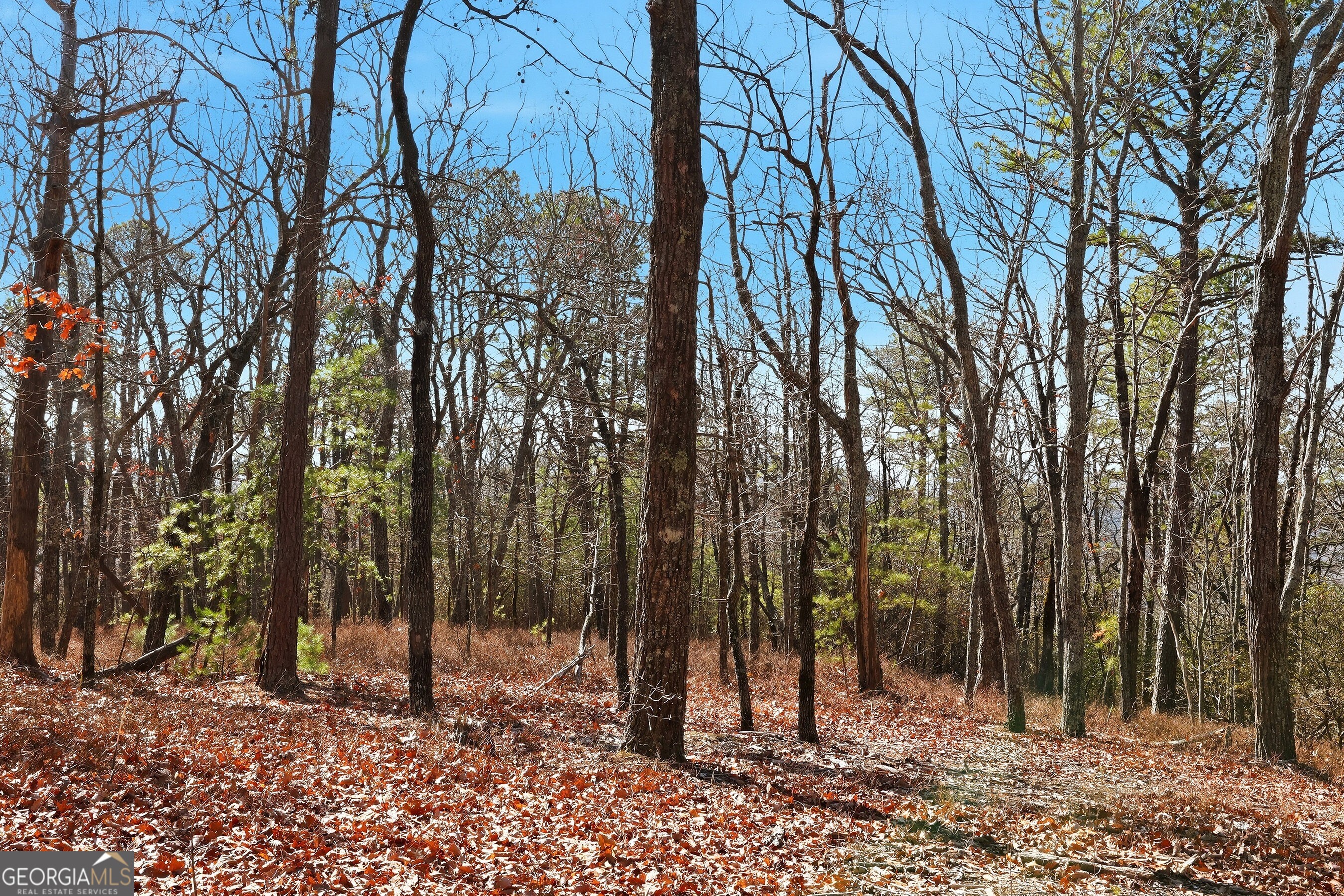0 Mountain Sweet Drive # 59 Property Photo 16
