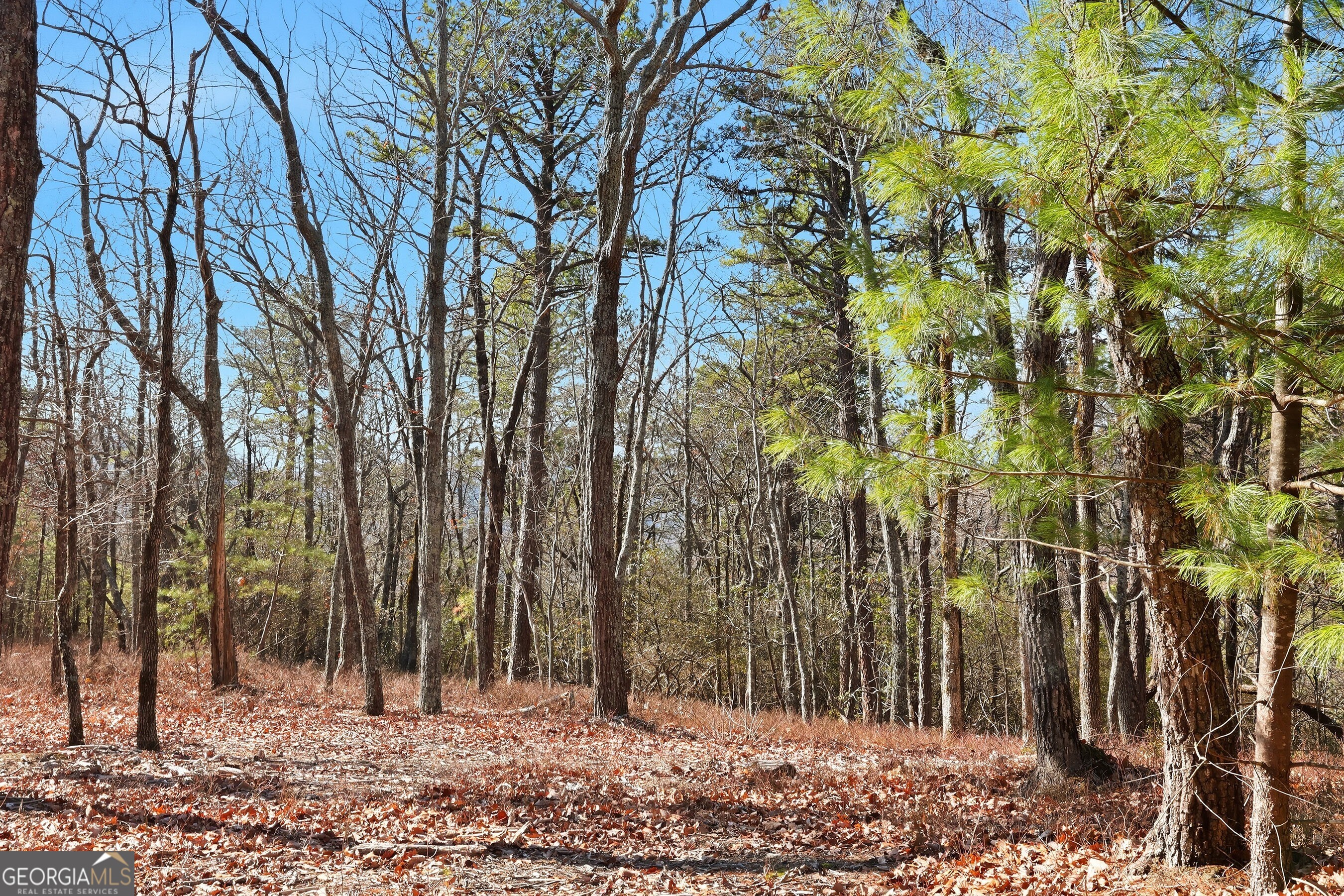 0 Mountain Sweet Drive # 59 Property Photo 17