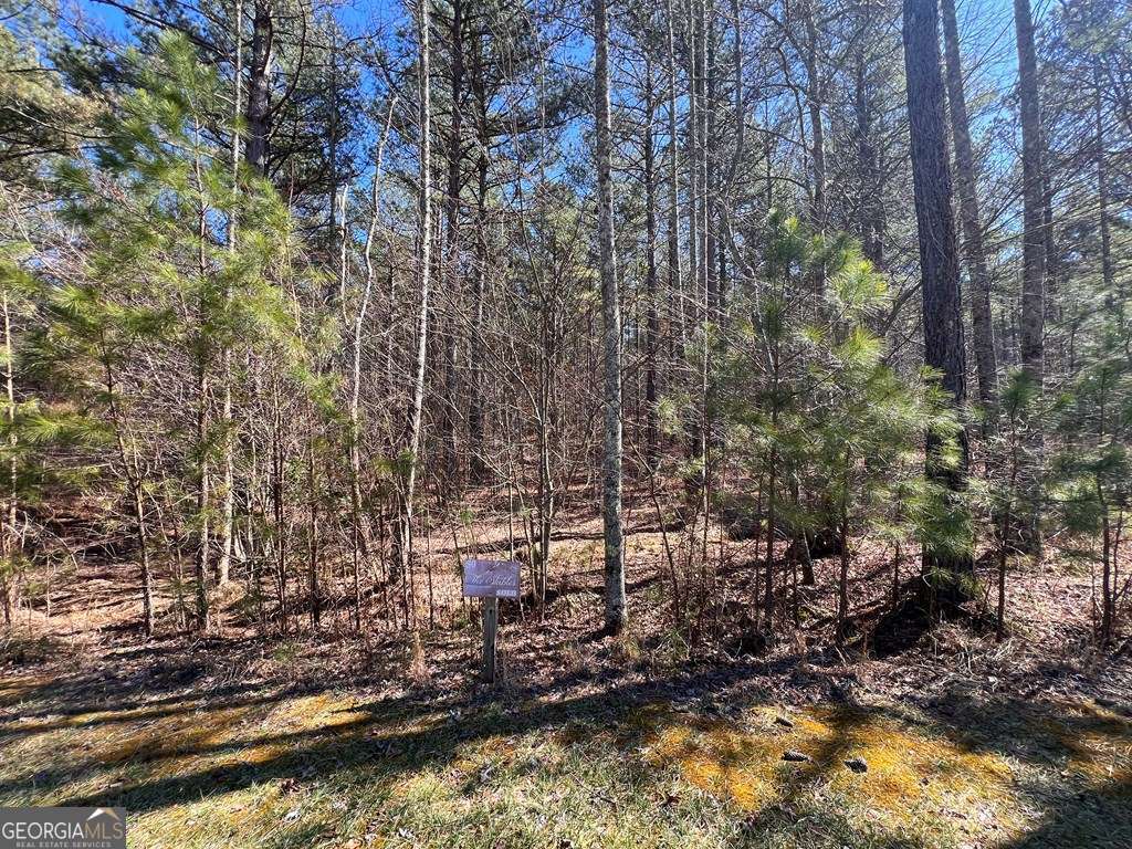 Lot 50 Deyton Drive Property Photo 4