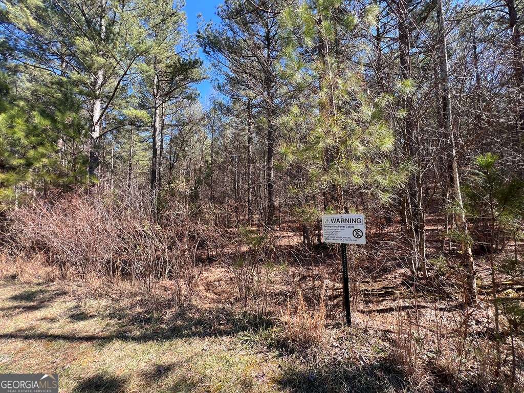 Lot 50 Deyton Drive Property Photo 5