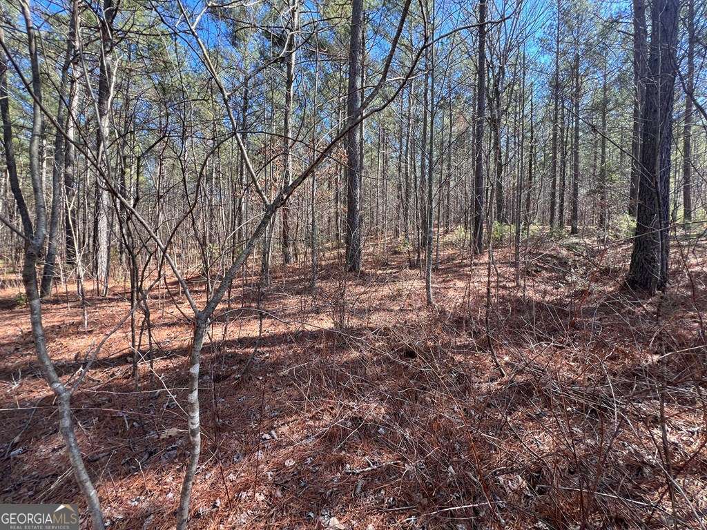 Lot 50 Deyton Drive Property Photo 8