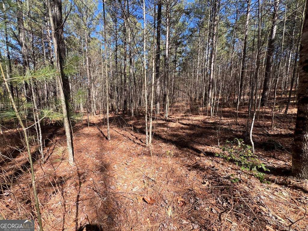 Lot 50 Deyton Drive Property Photo 11