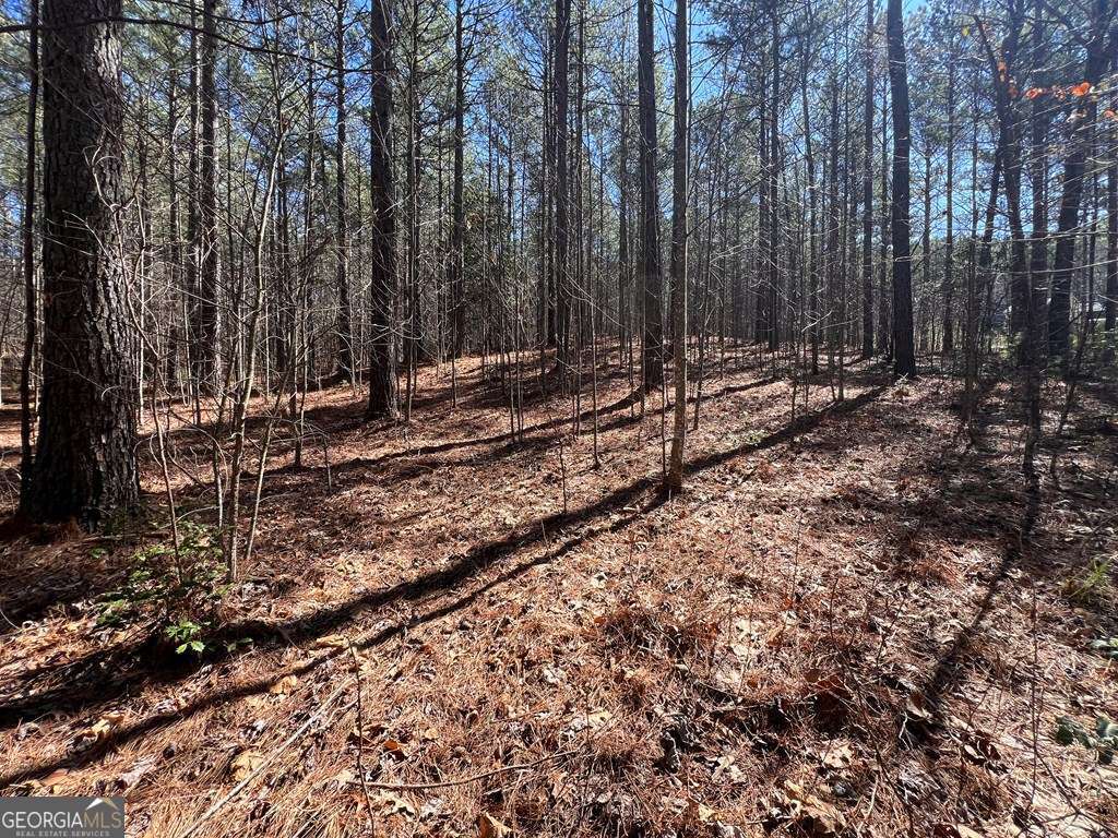Lot 50 Deyton Drive Property Photo 12