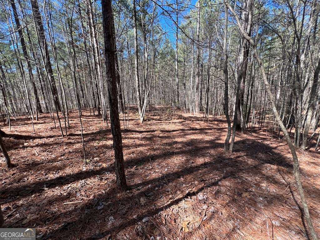 Lot 50 Deyton Drive Property Photo 15