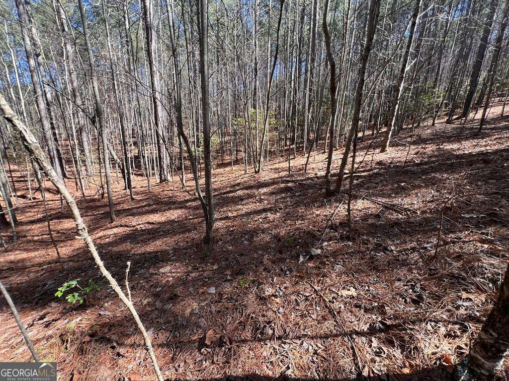 Lot 50 Deyton Drive Property Photo 16