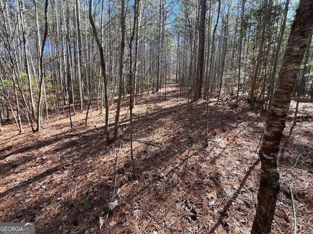 Lot 50 Deyton Drive Property Photo 17