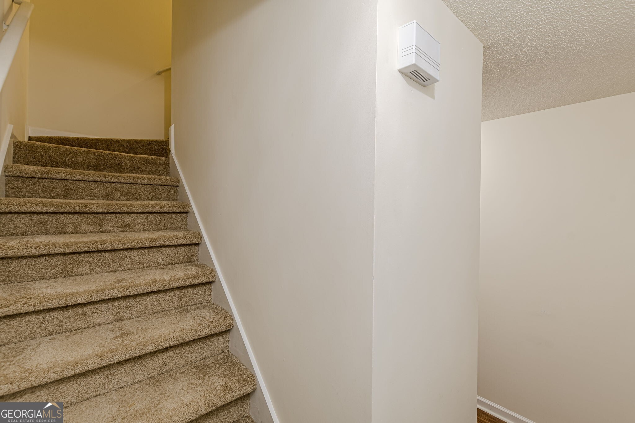 137 Venture Path Property Photo 20