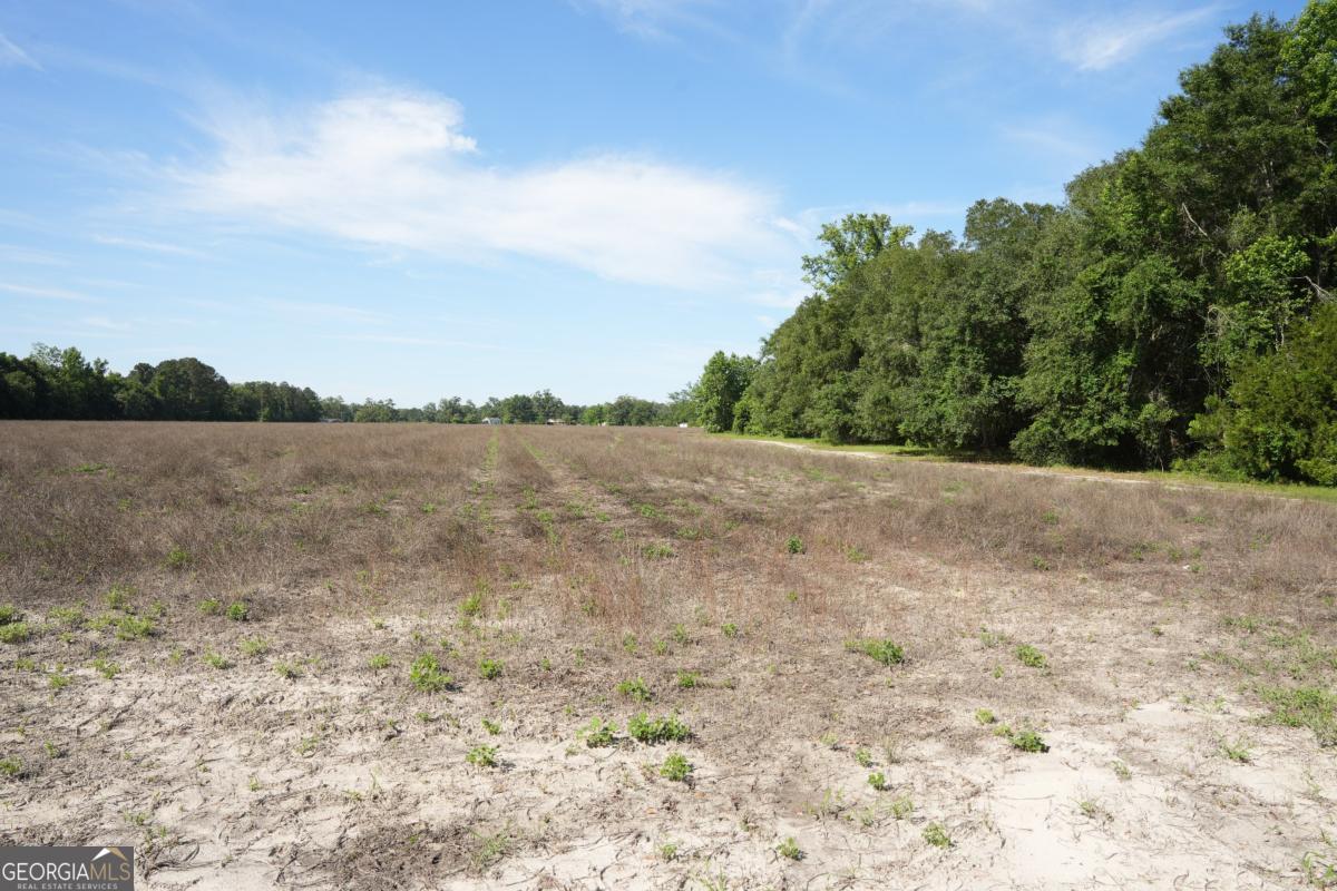 1800 Olive Branch Road Property Photo 13