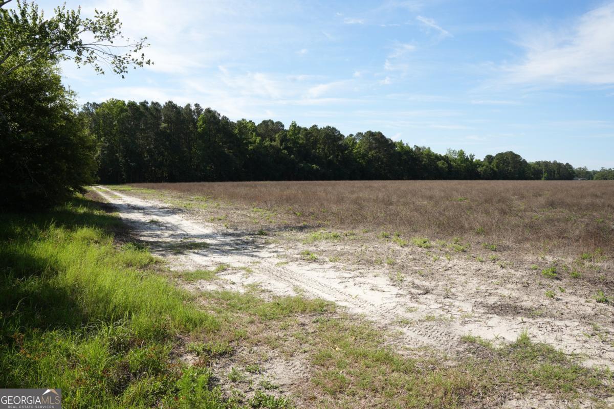 1800 Olive Branch Road Property Photo 14
