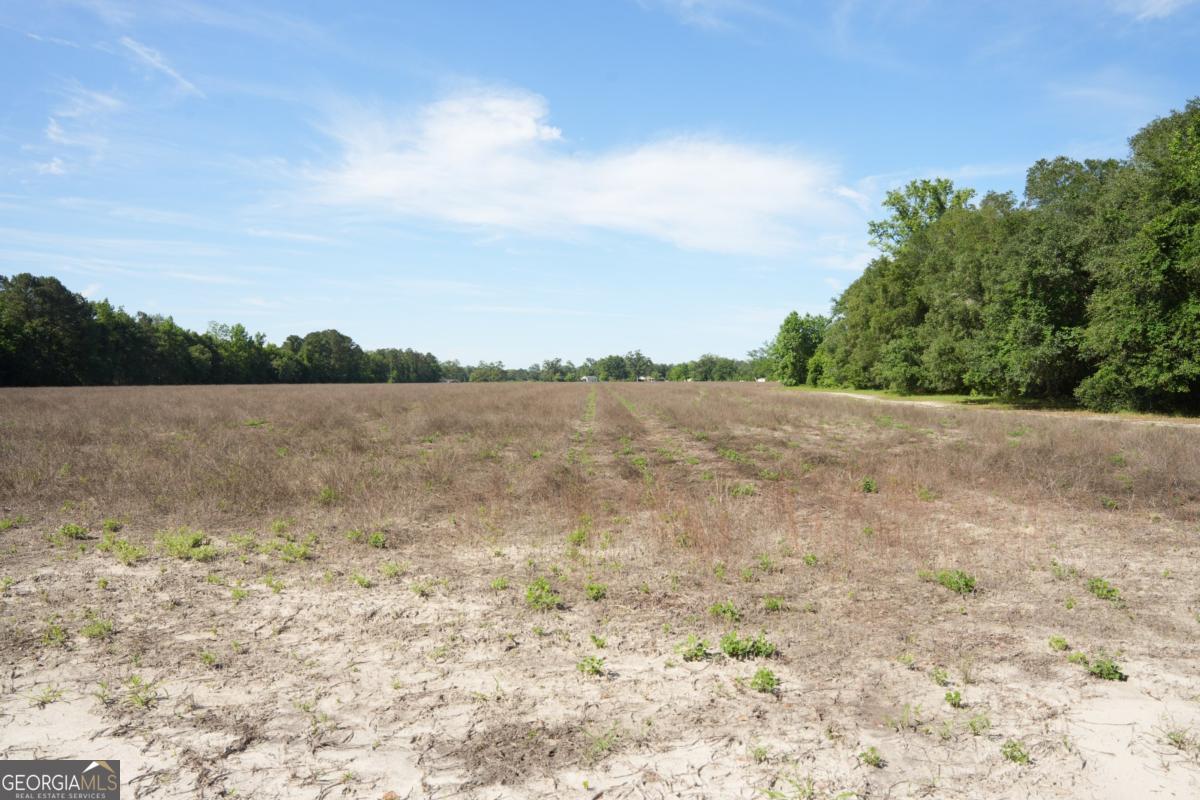 1800 Olive Branch Road Property Photo 15