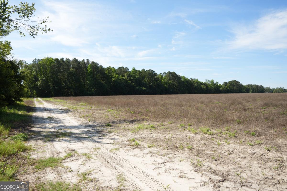 1800 Olive Branch Road Property Photo 16