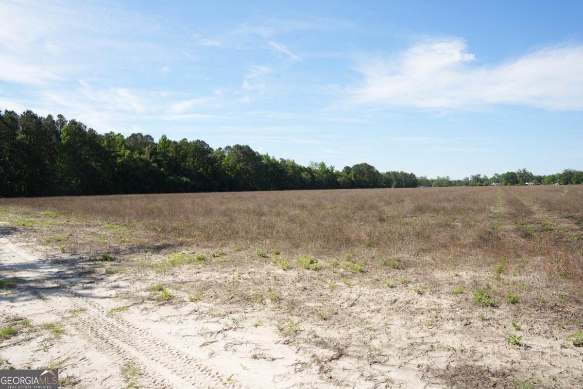 1800 Olive Branch Road Property Photo 17