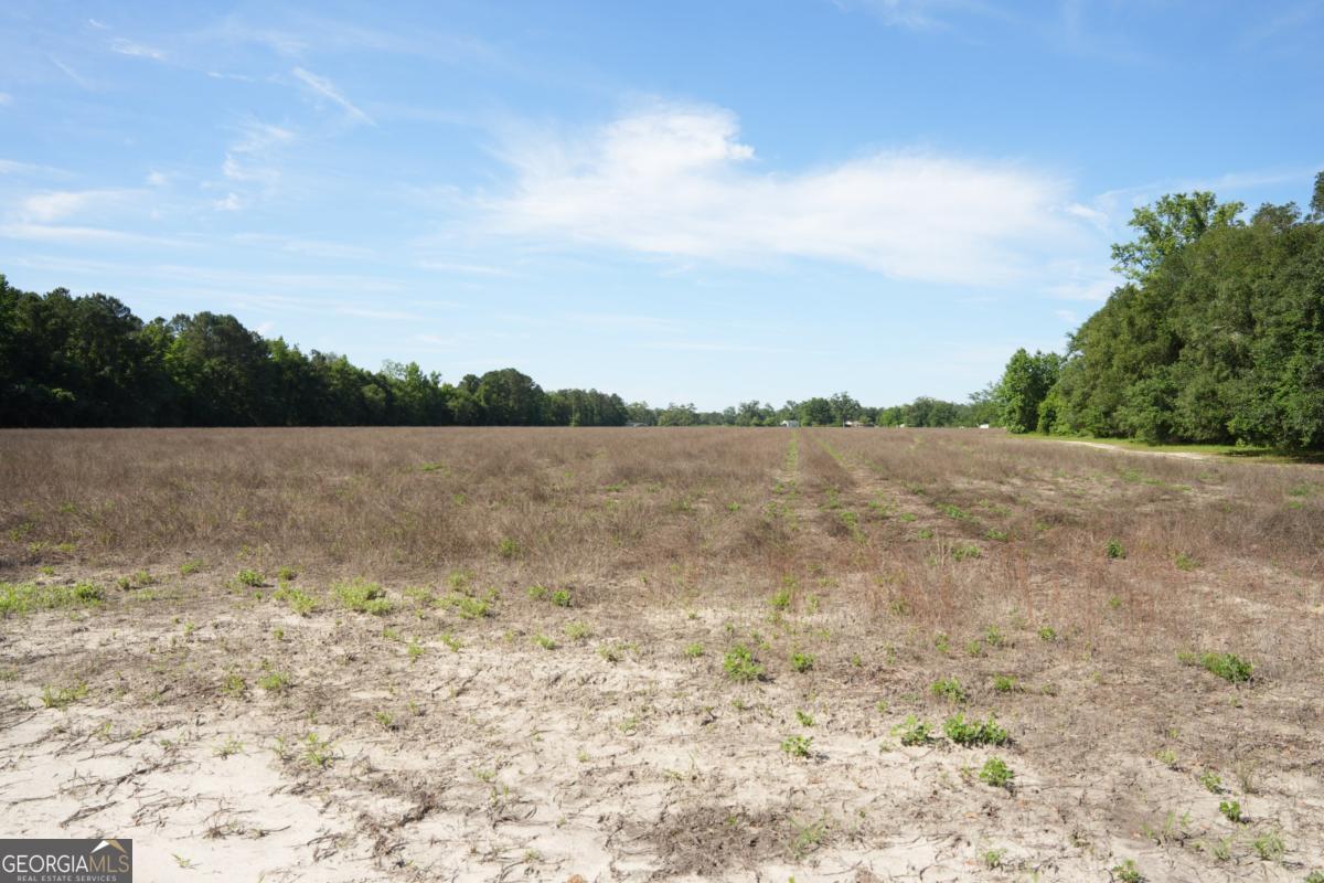 1800 Olive Branch Road Property Photo 18