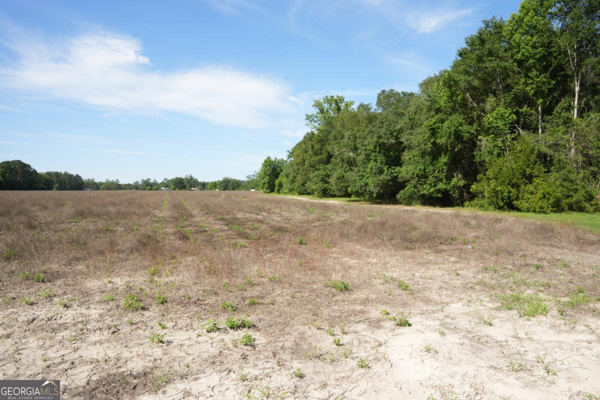 1800 Olive Branch Road Property Photo 19