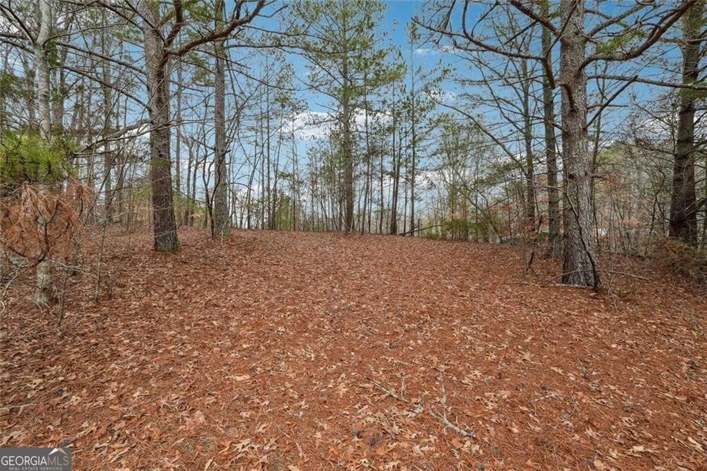 8265 Seabolt Drive Property Photo 22