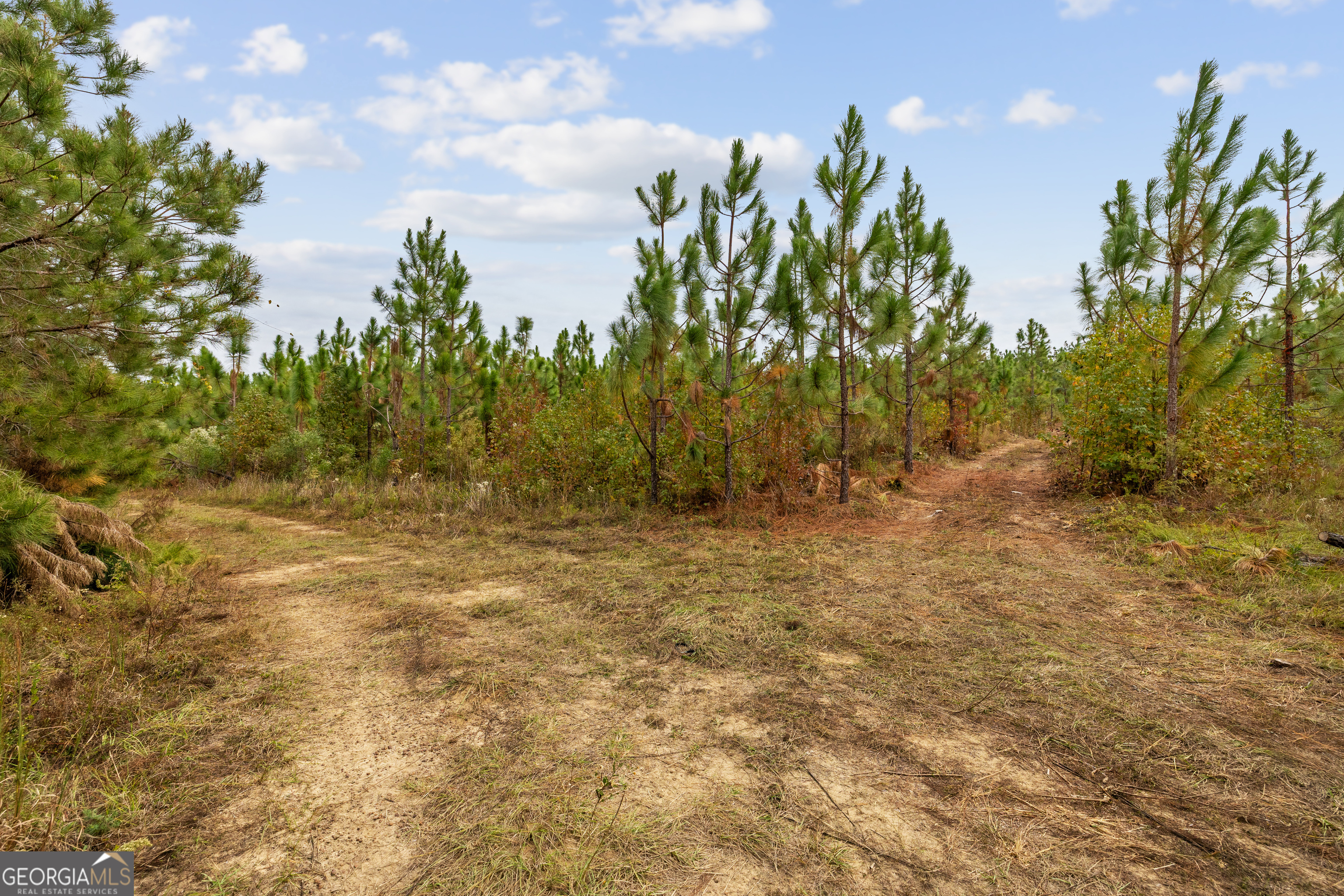 0 Highway 297 # 5 Property Photo 6