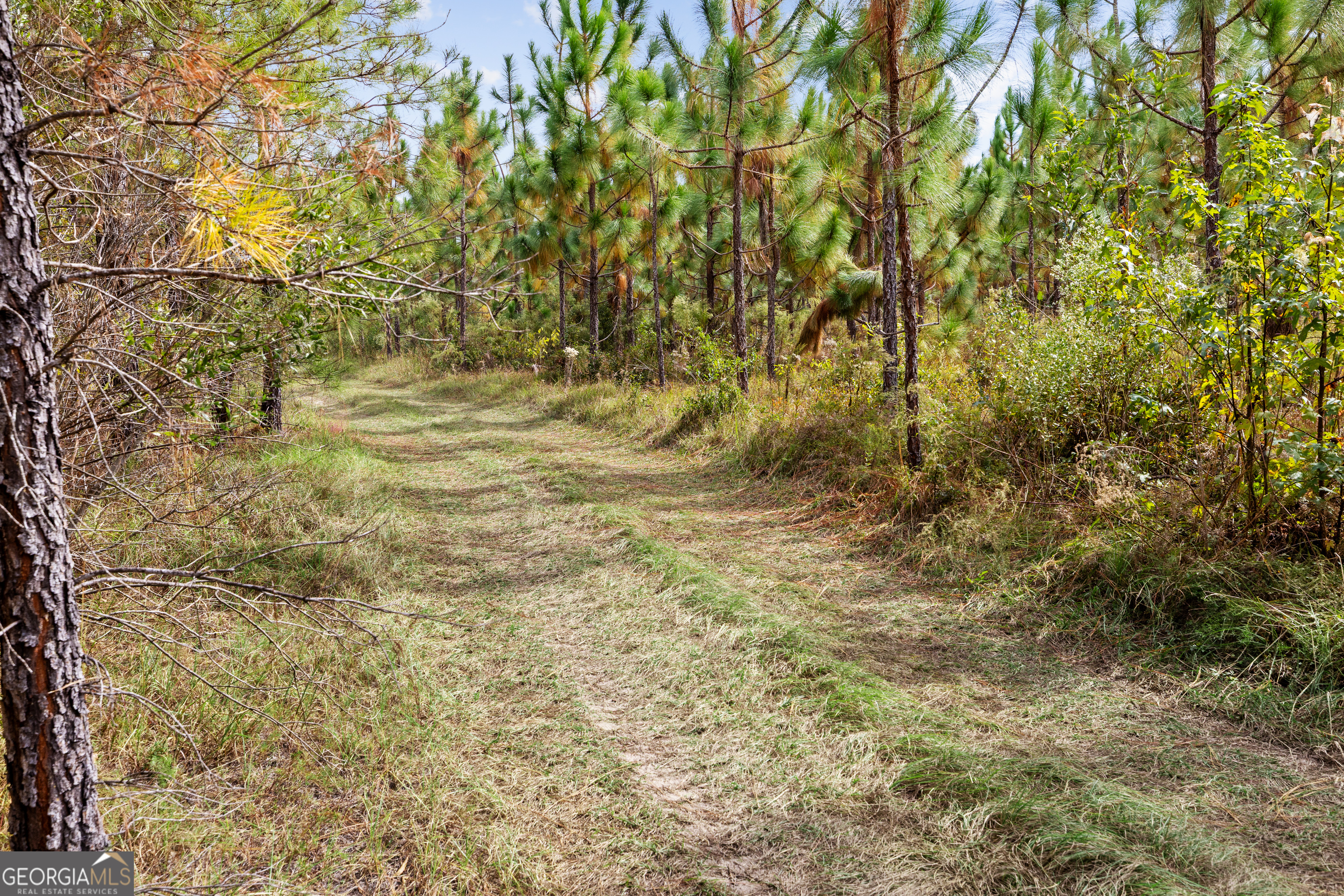 0 Highway 297 # 5 Property Photo 11