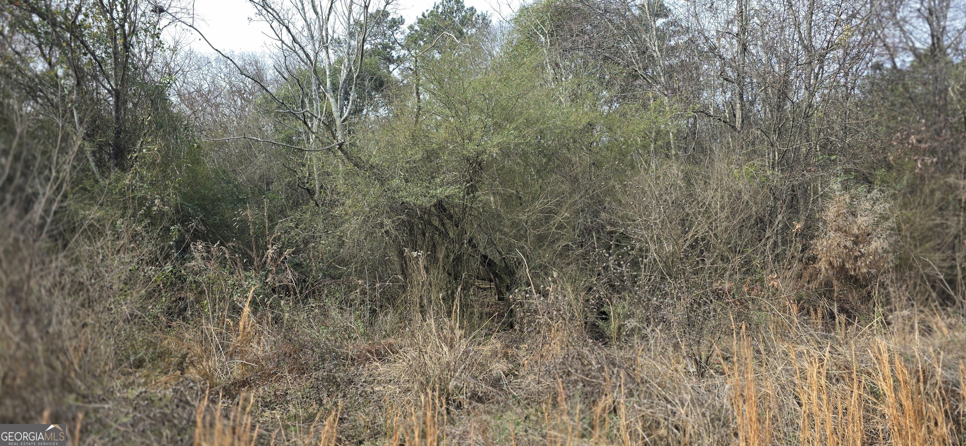 7025 Sofkee Place Property Photo 1