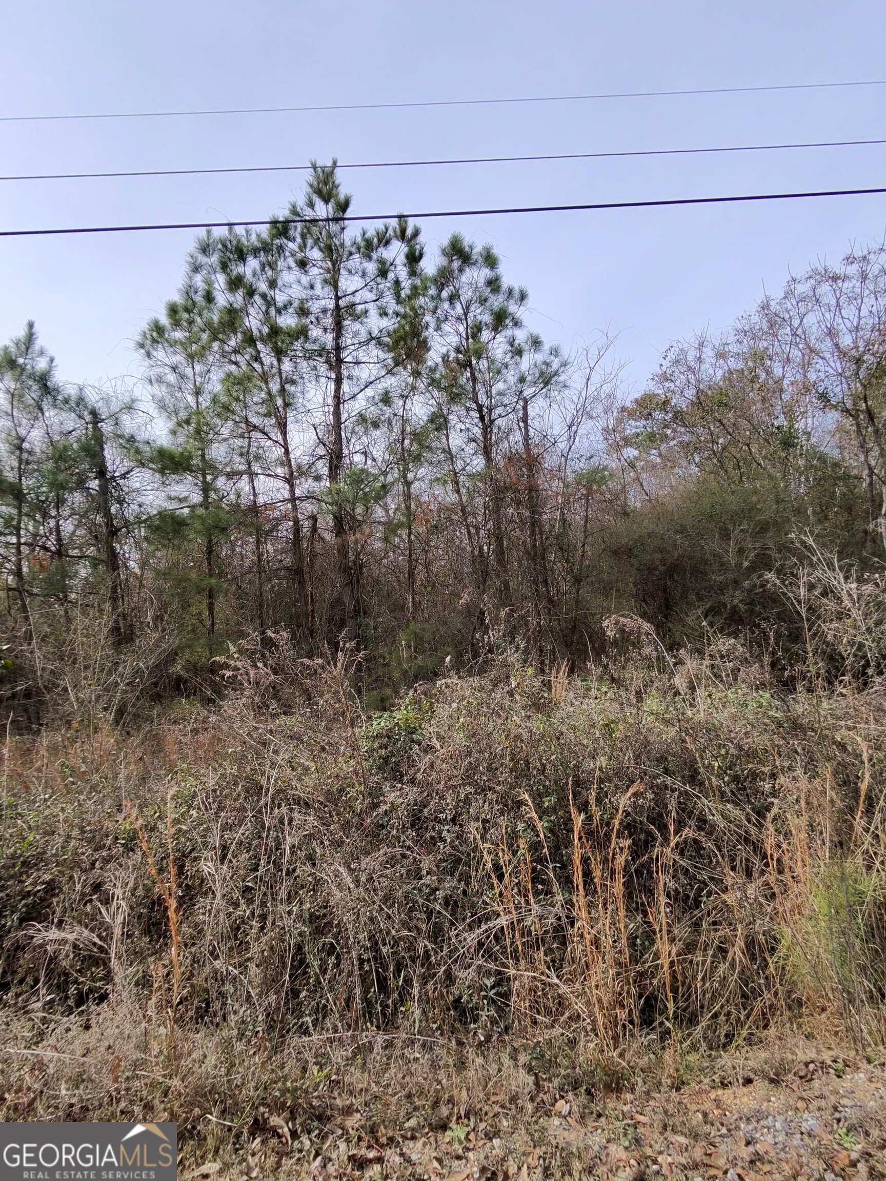 7025 Sofkee Place Property Photo 6