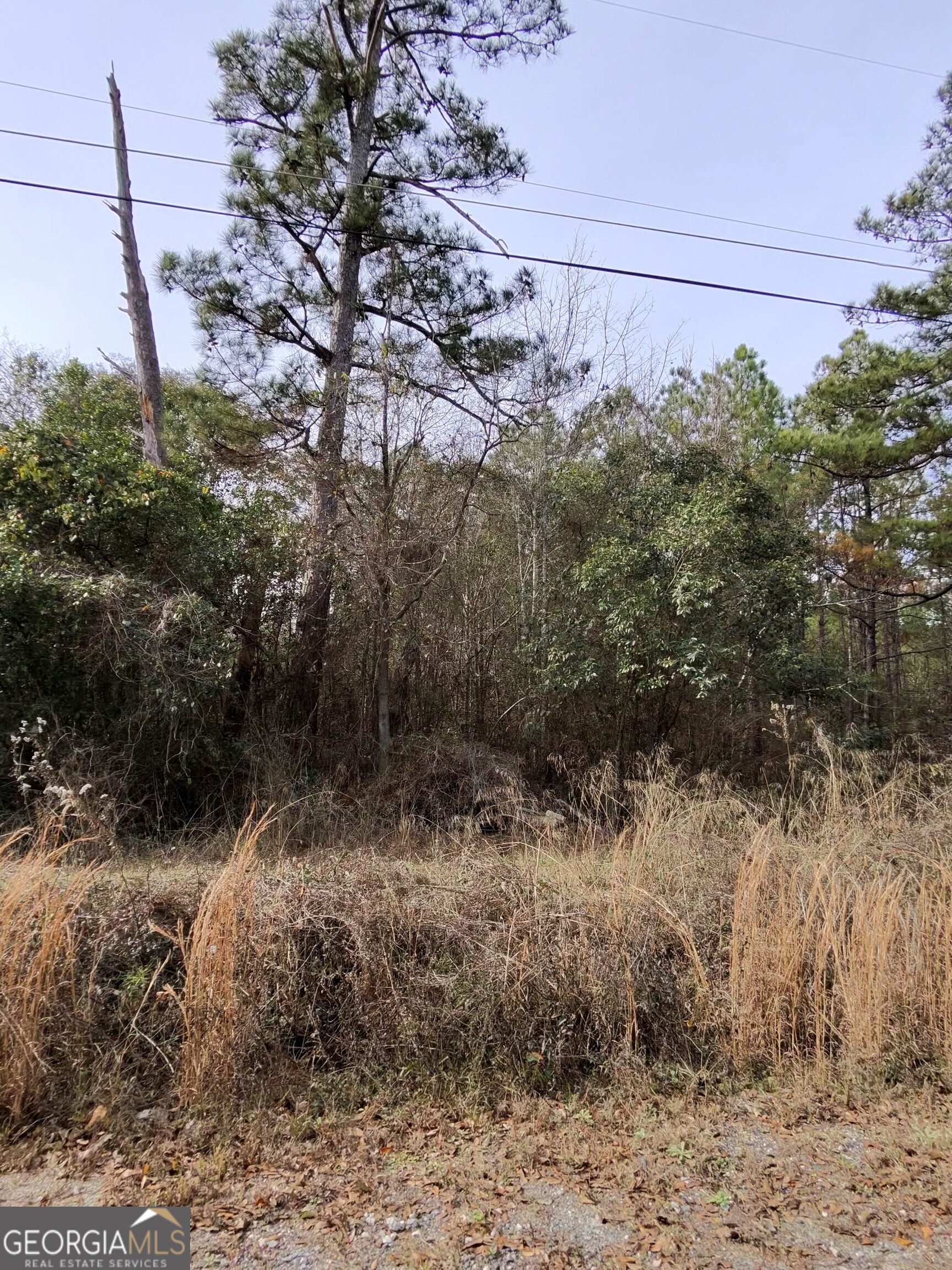 7025 Sofkee Place Property Photo 7