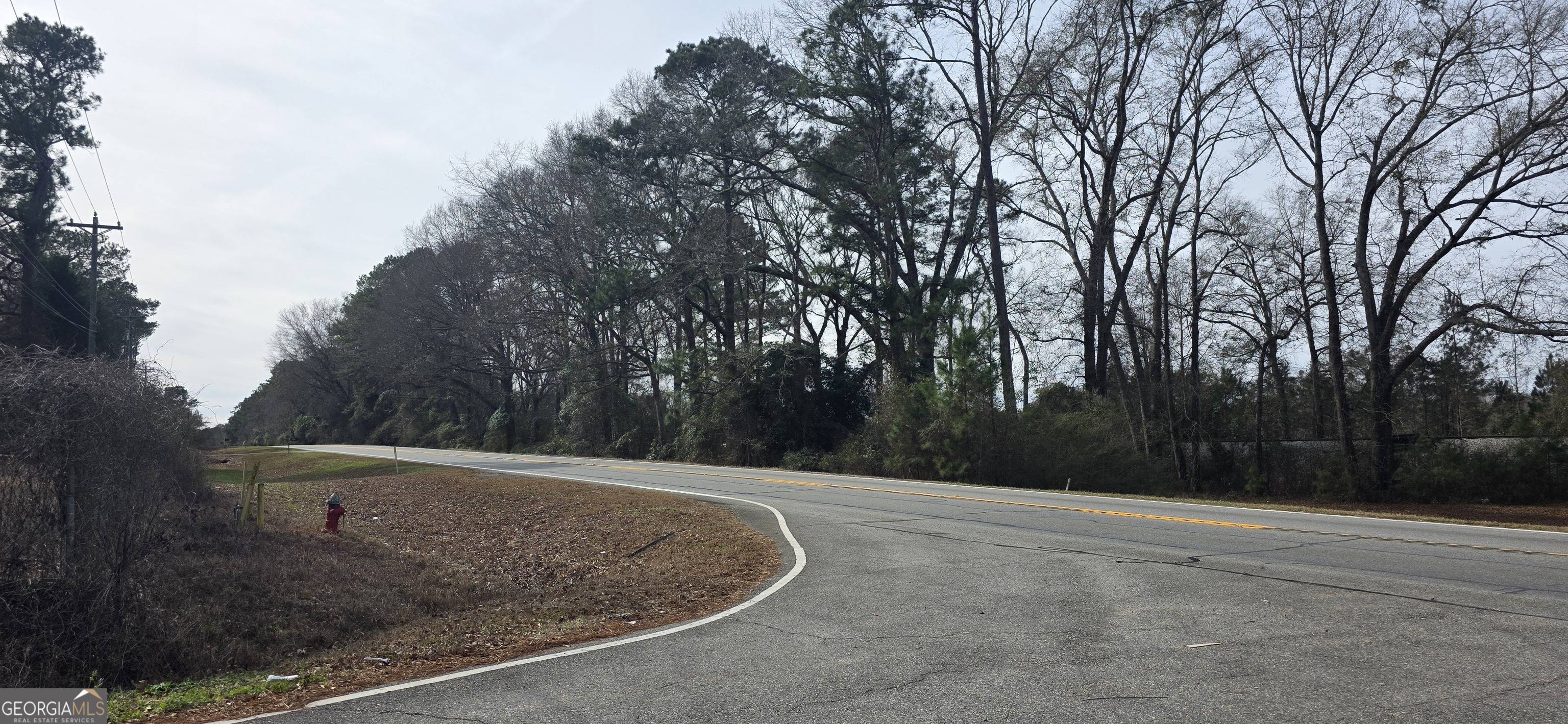 0 Highway 247 Property Photo 1