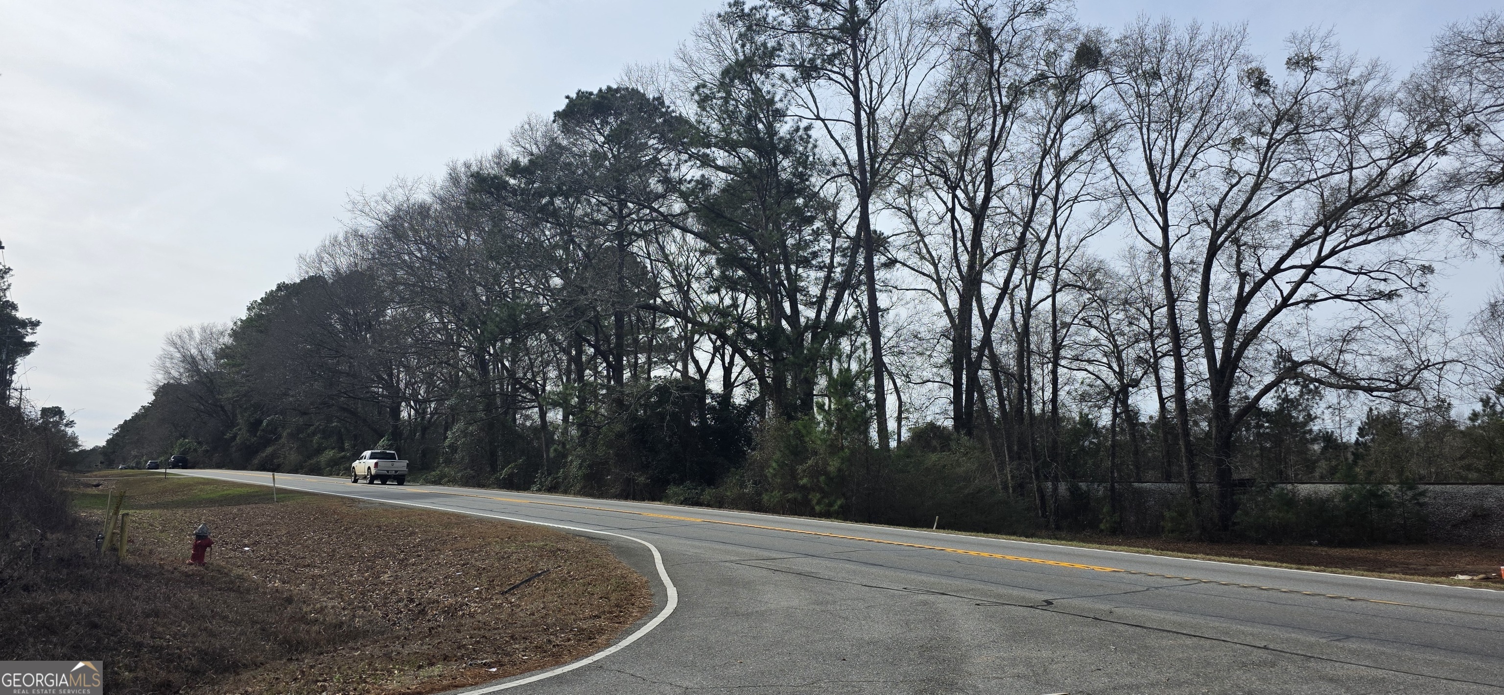 0 Highway 247 Property Photo 2