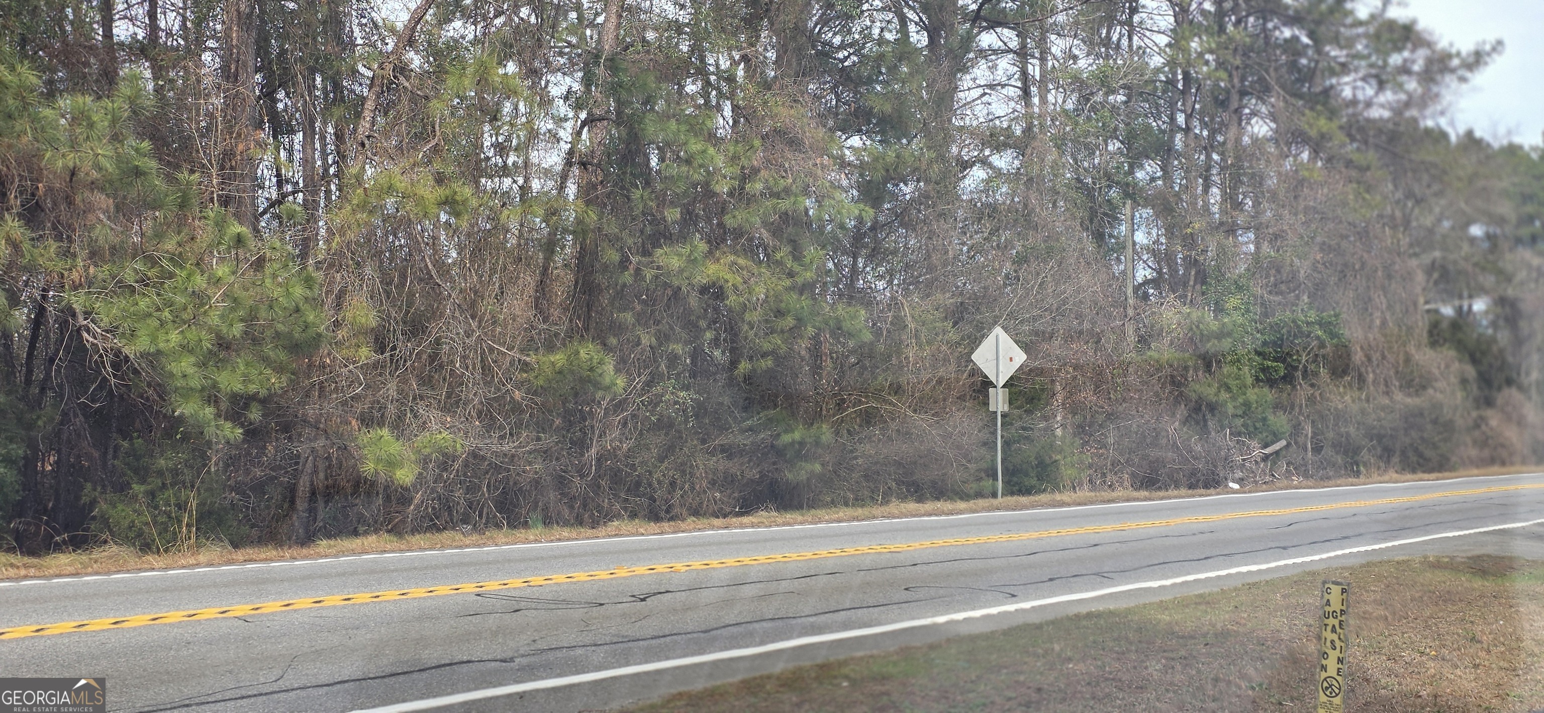 0 Highway 247 Property Photo 3