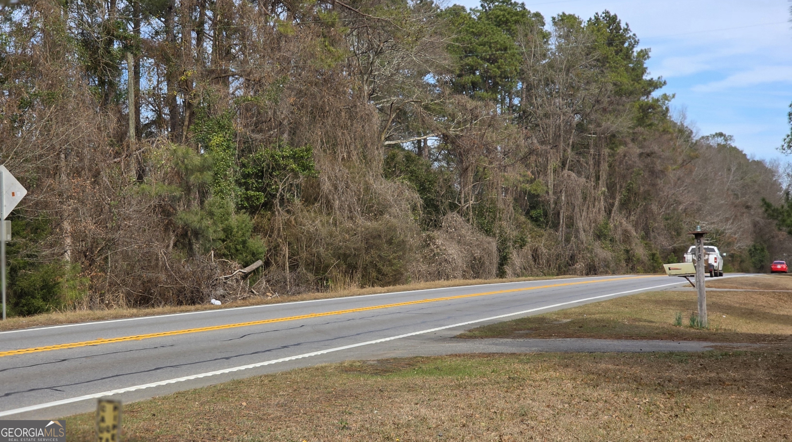 0 Highway 247 Property Photo 4